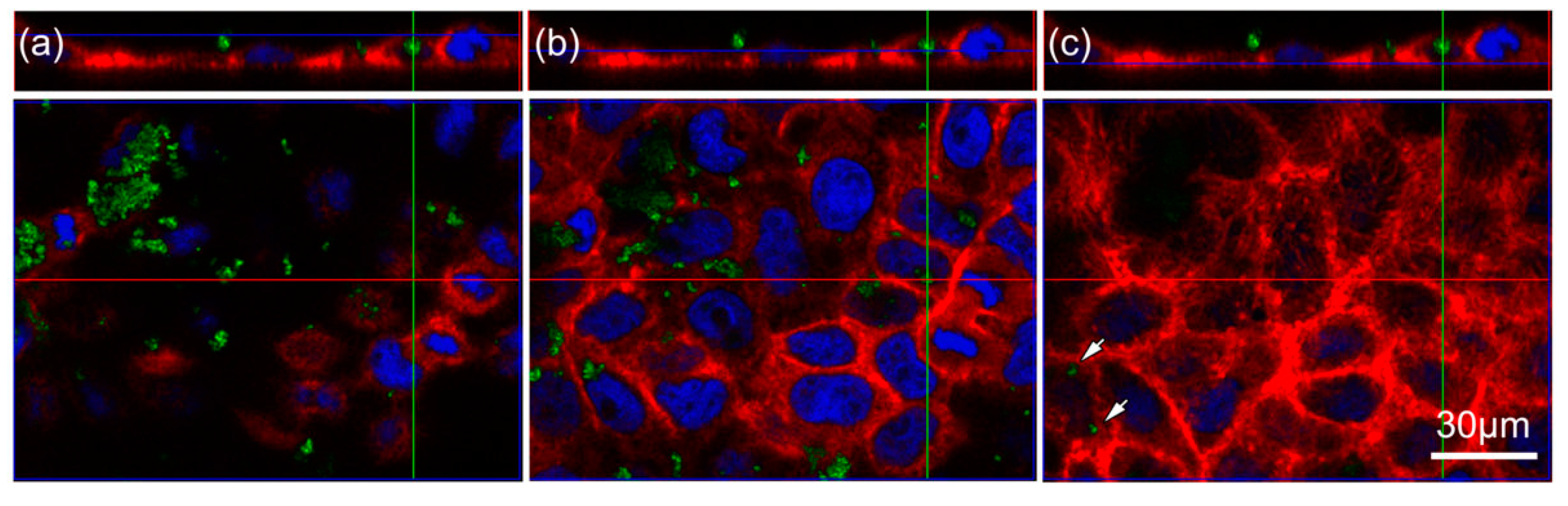 Nanomaterials 07 00079 g003