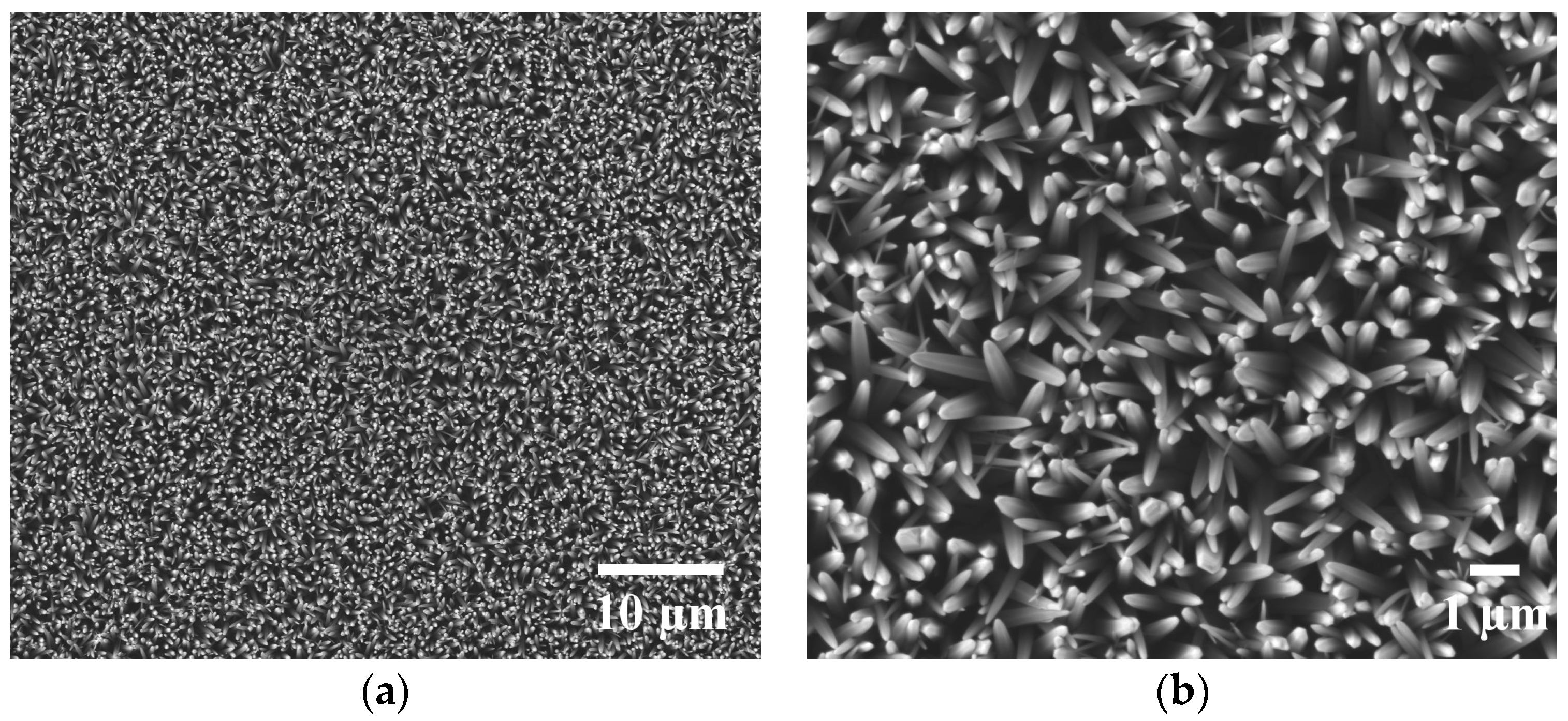 Nanomaterials 07 00080 g001