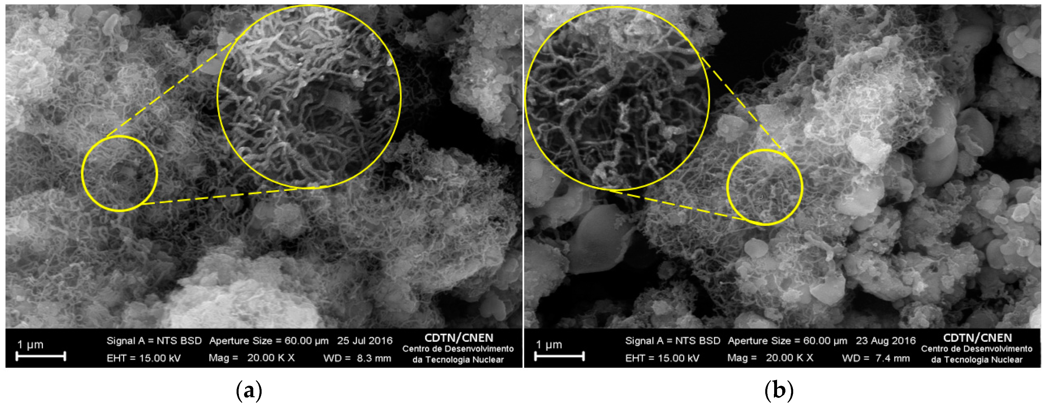 Nanomaterials 07 00082 g003 Nanomaterials 07 00082 g003