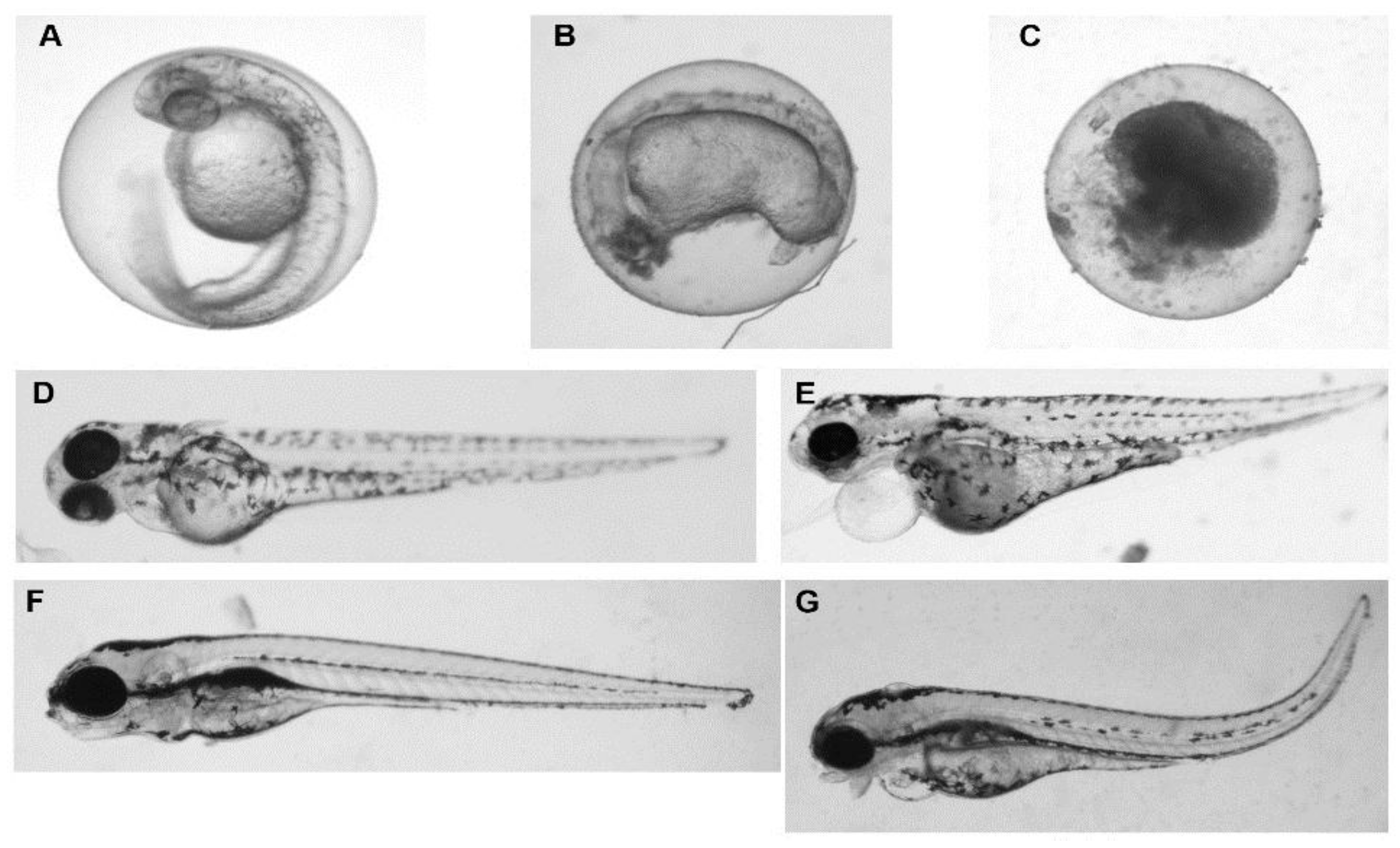 Nanomaterials 07 00089 g002