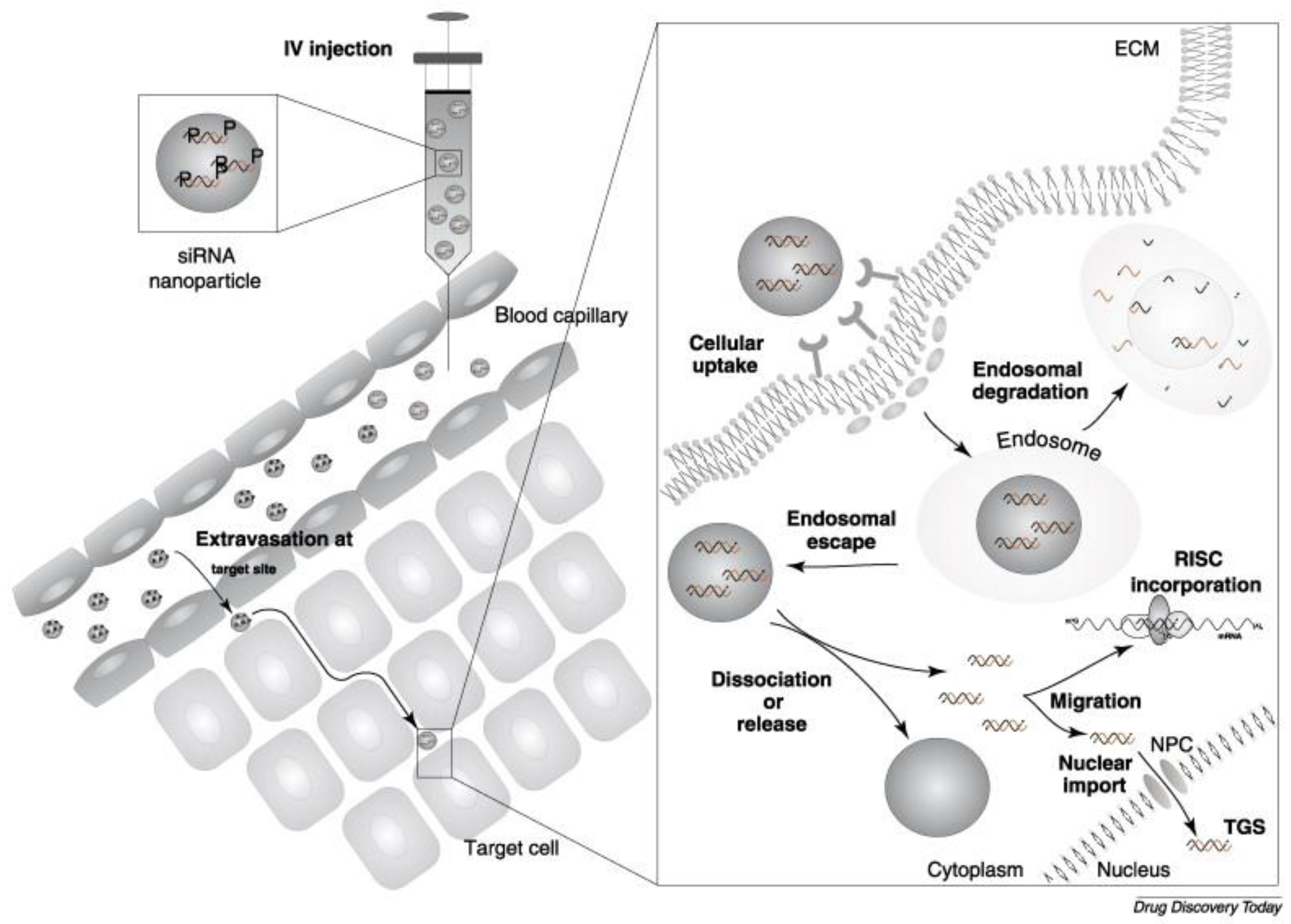 Nanomaterials 07 00094 g001