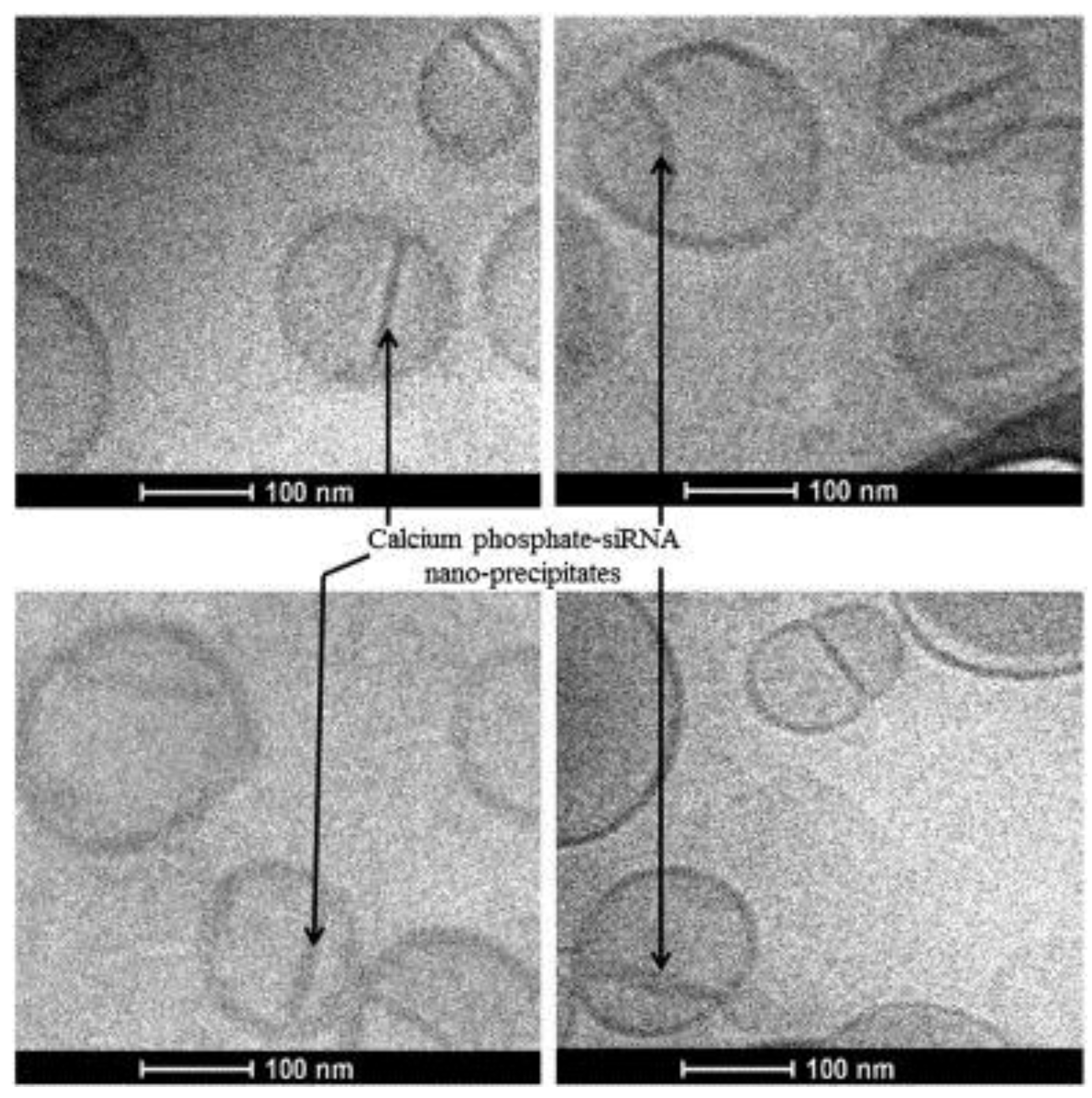 Nanomaterials 07 00094 g005