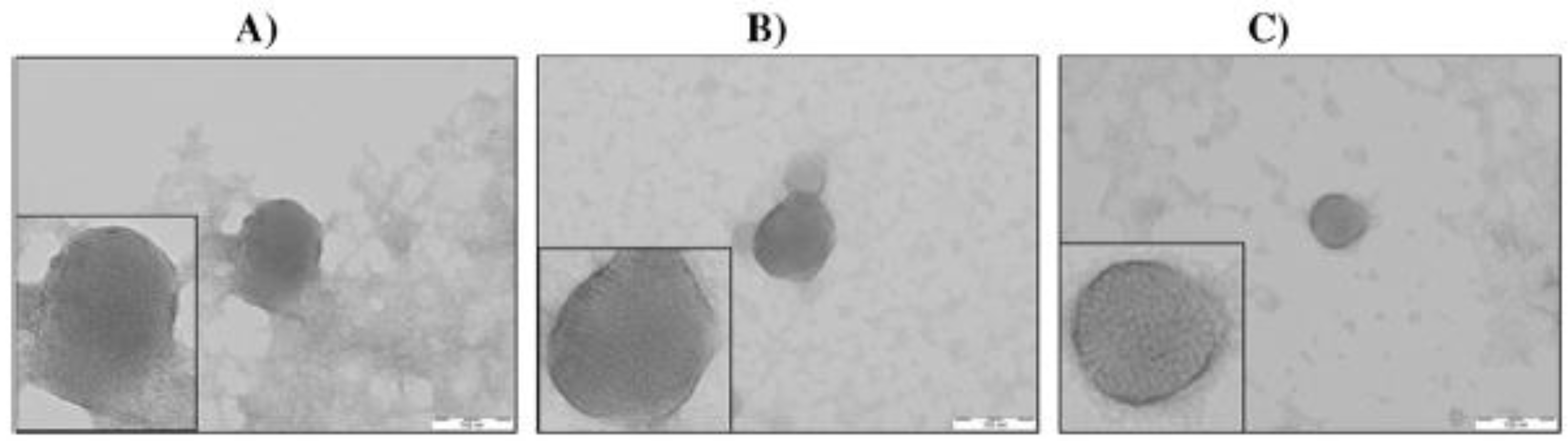 Nanomaterials 07 00094 g006