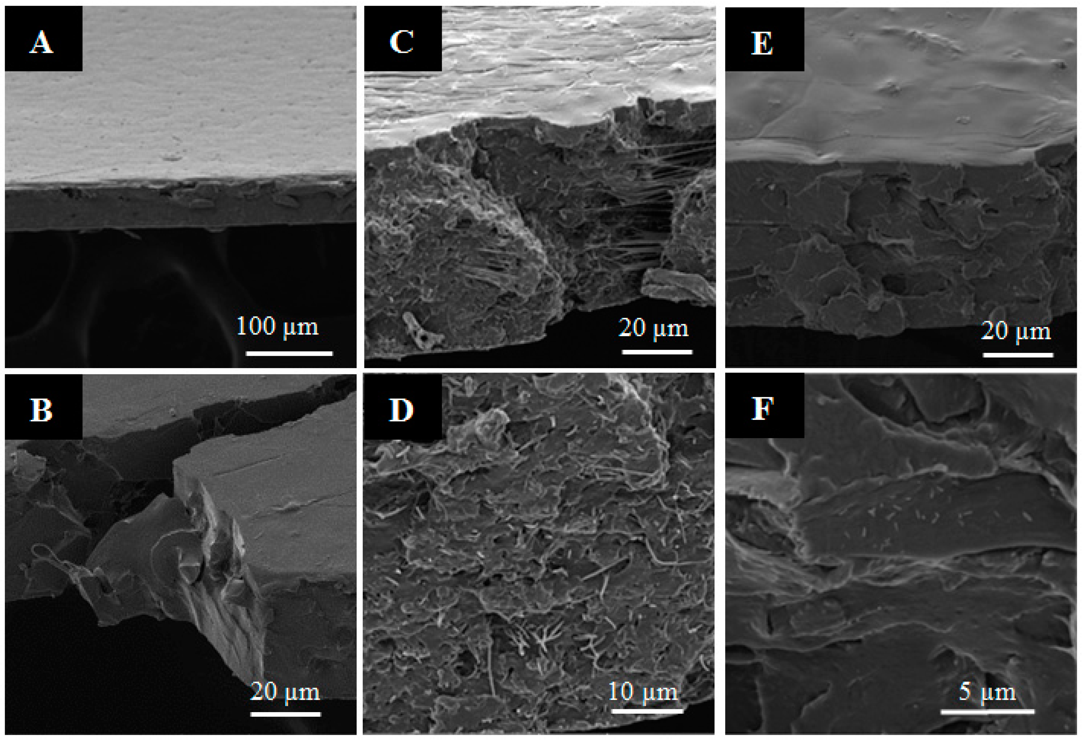 Nanomaterials 07 00106 g002 Nanomaterials 07 00106 g002