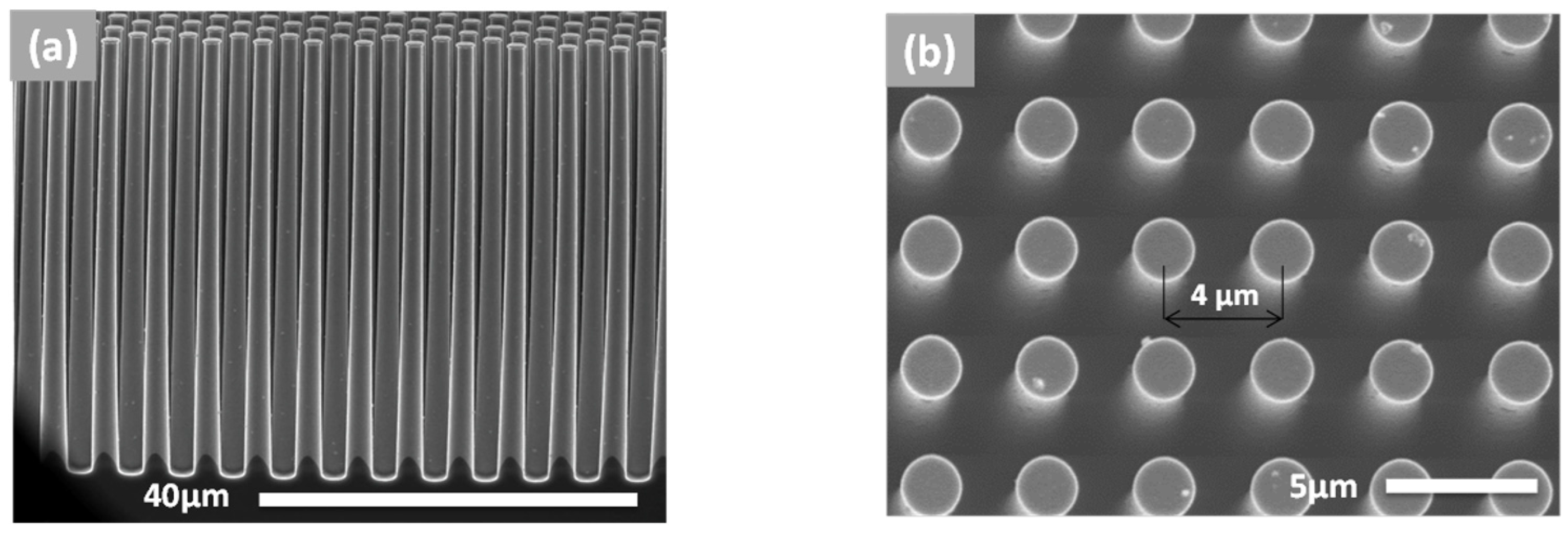 Nanomaterials 07 00126 g001a