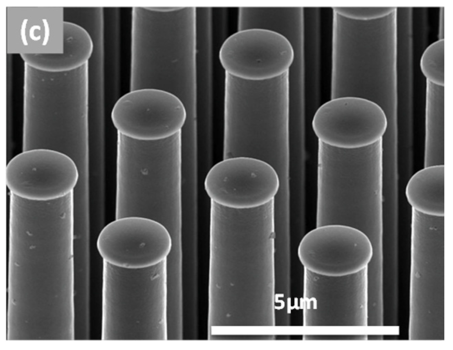 Nanomaterials 07 00126 g001b