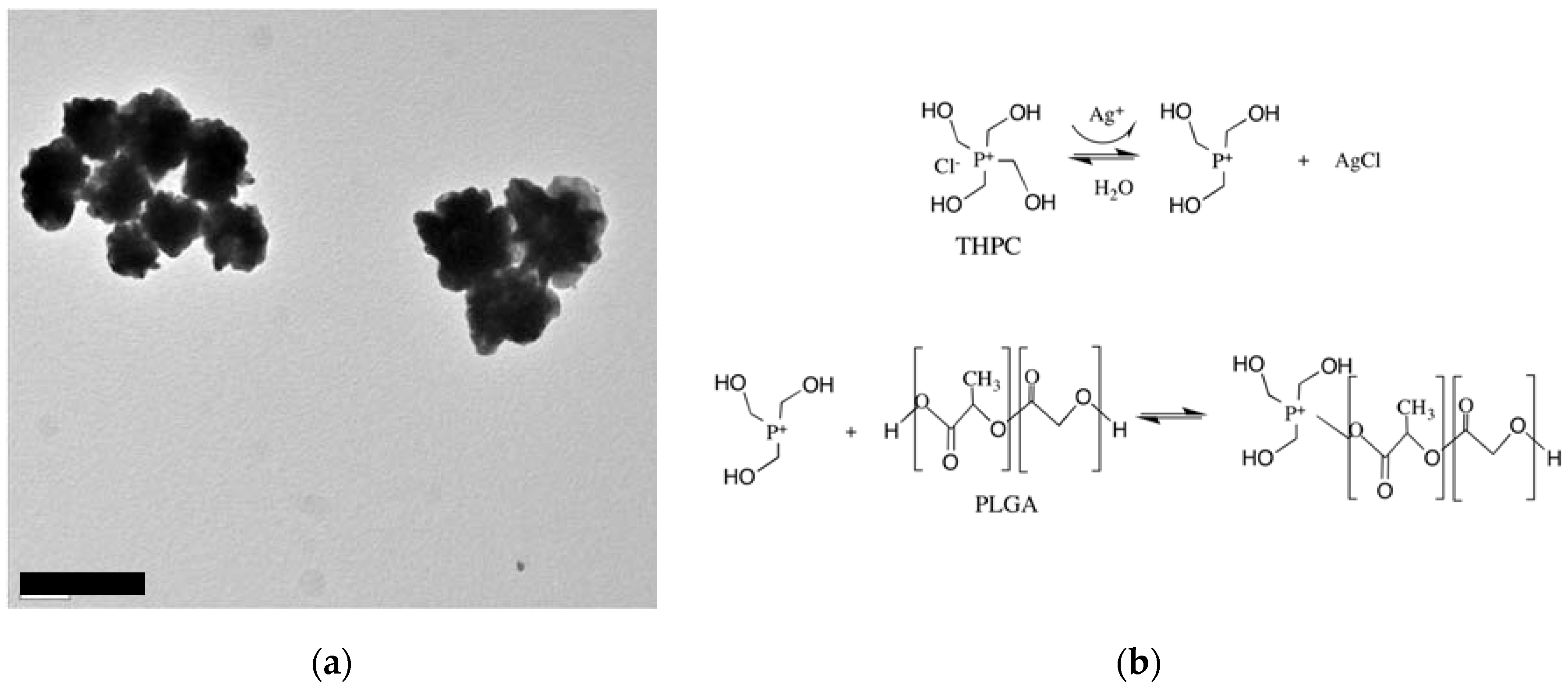 Nanomaterials 07 00127 g001 Nanomaterials 07 00127 g001