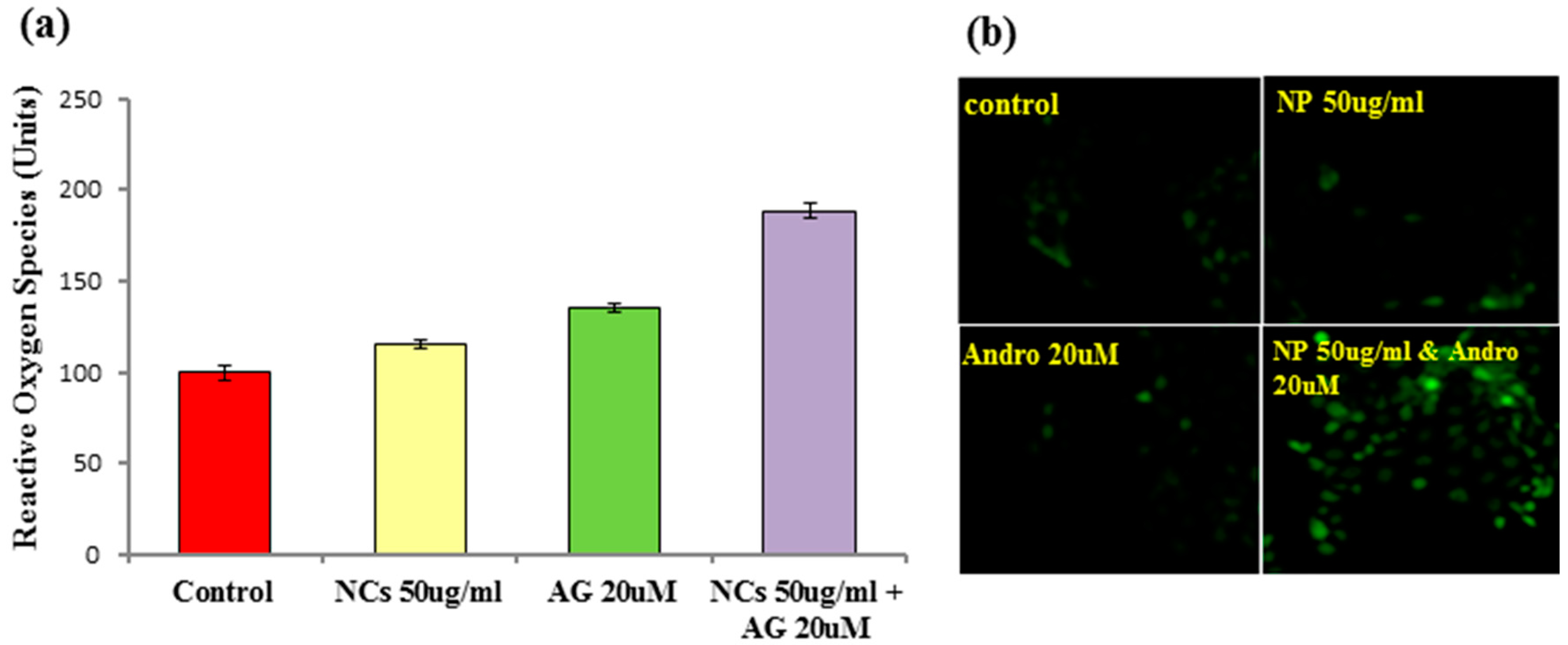 Nanomaterials 07 00138 g011