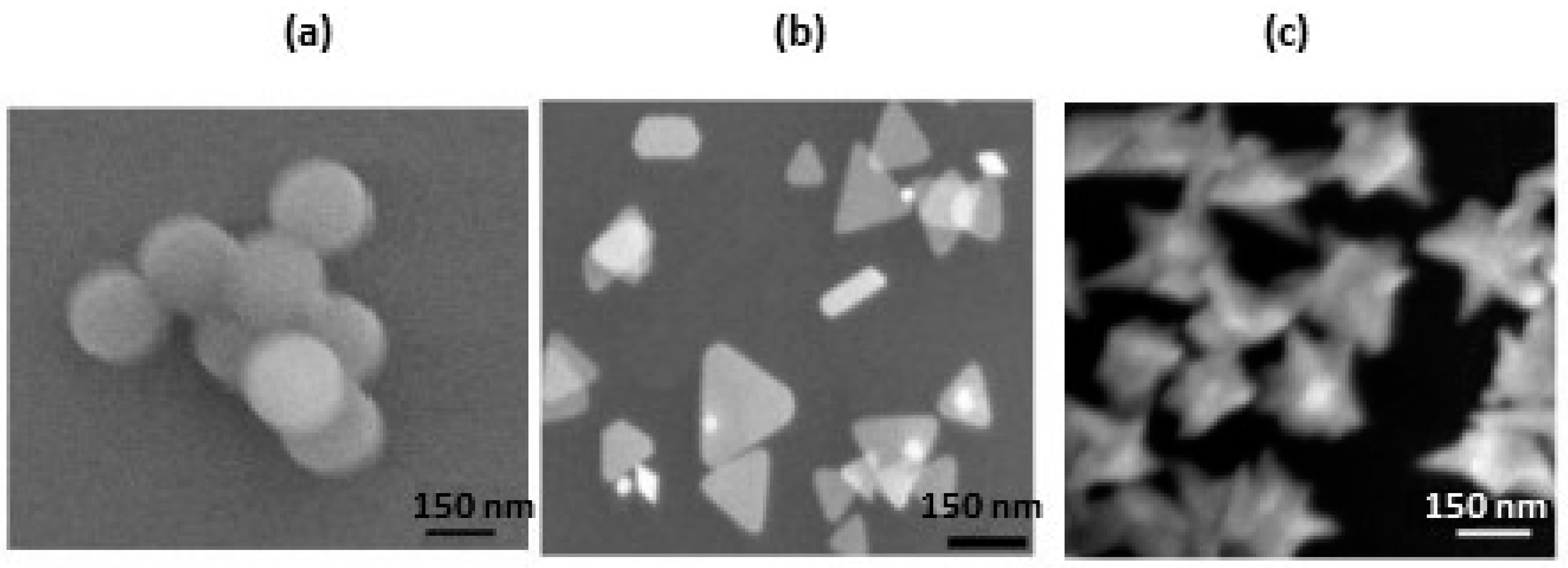 Nanomaterials 07 00142 g001