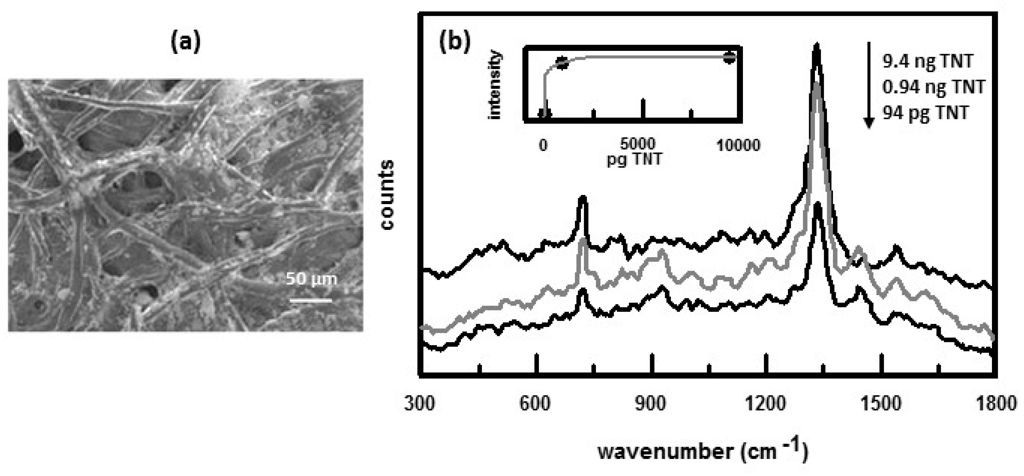 Nanomaterials 07 00142 g007