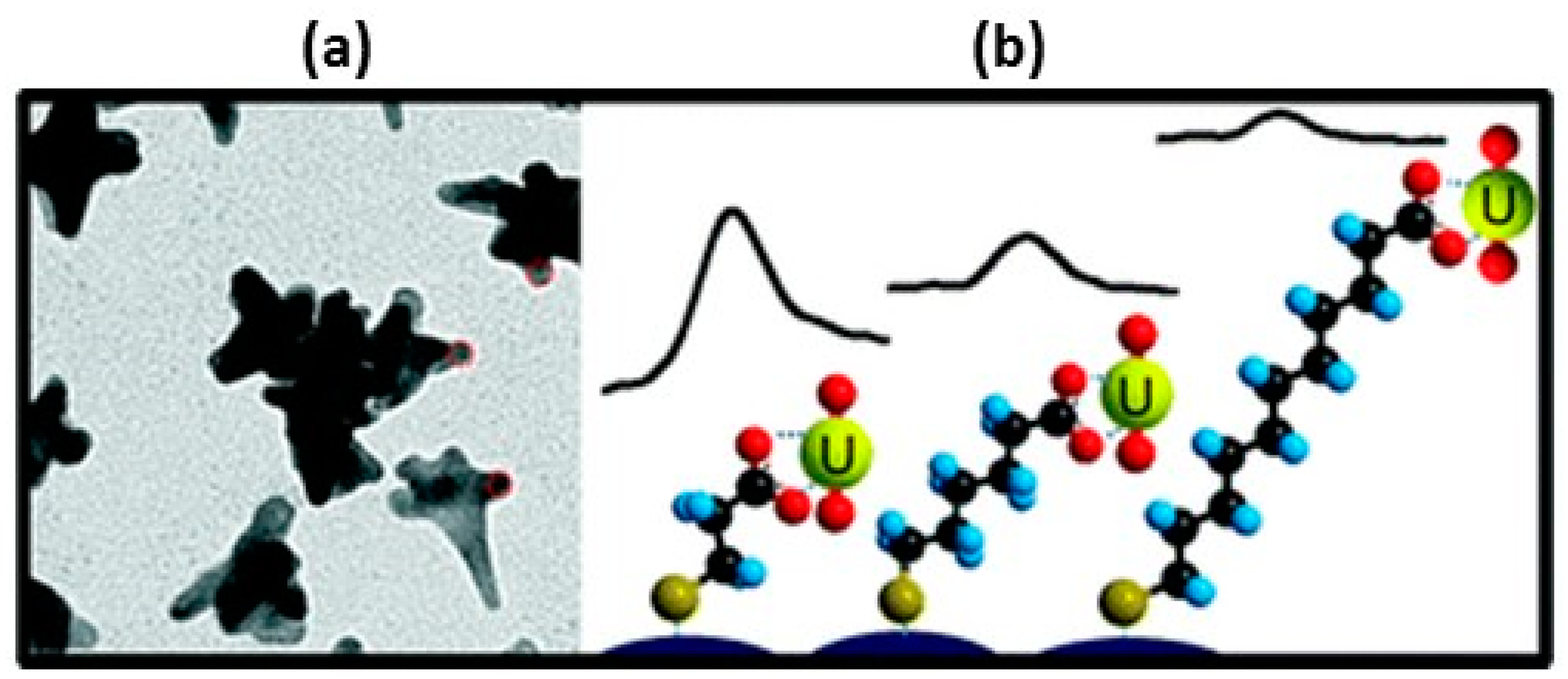 Nanomaterials 07 00142 g014