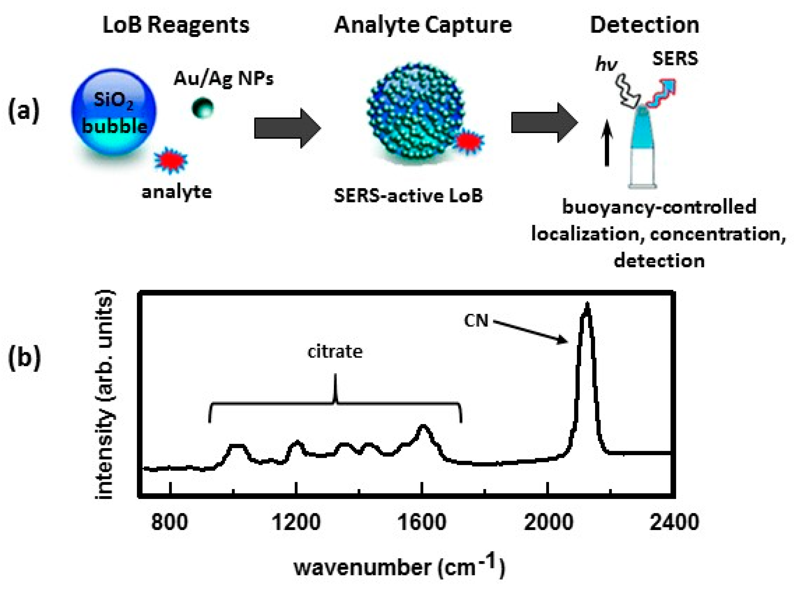 Nanomaterials 07 00142 g015