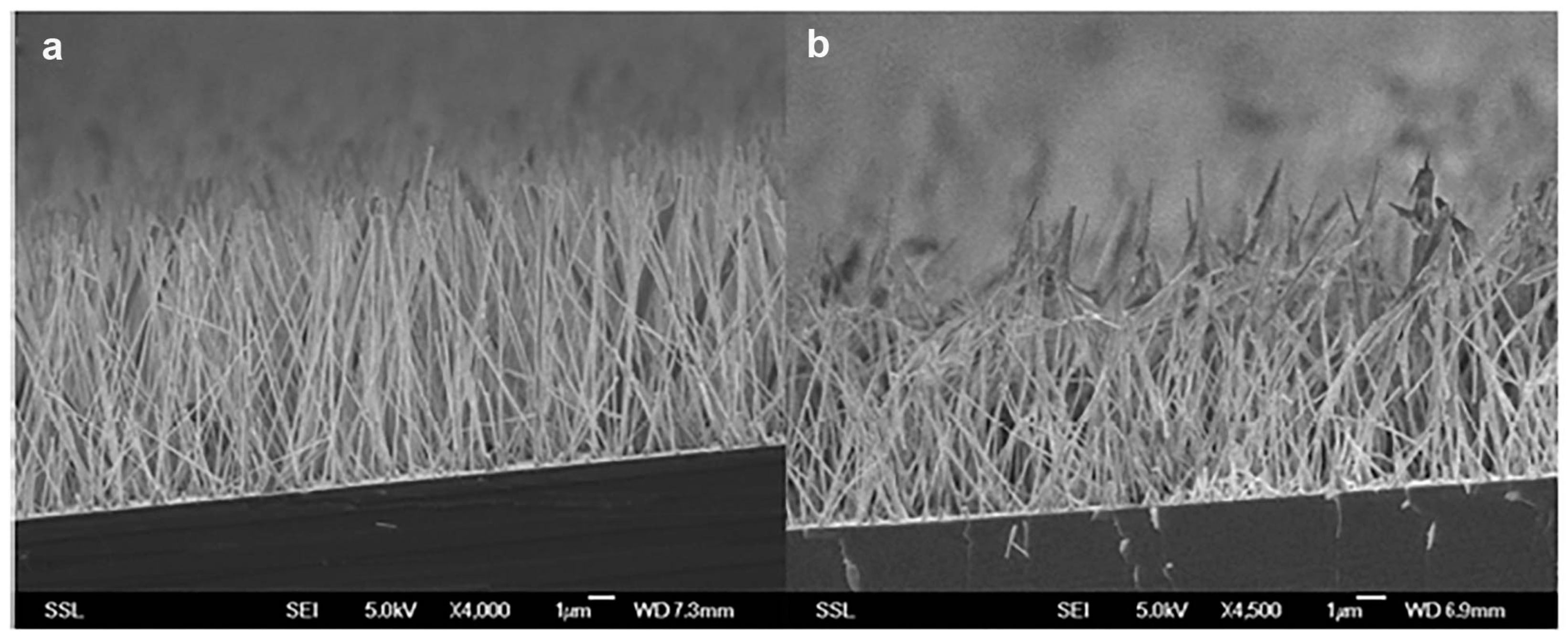 Nanomaterials 07 00147 g003