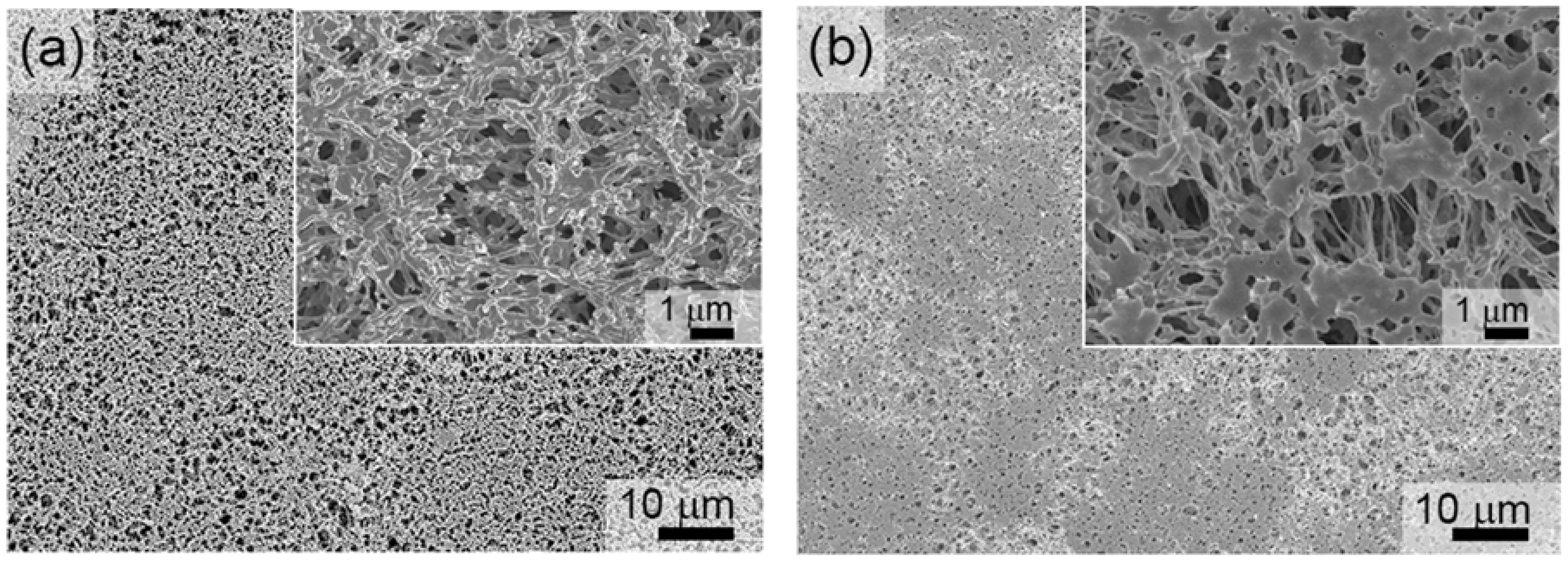 Nanomaterials 07 00155 g001