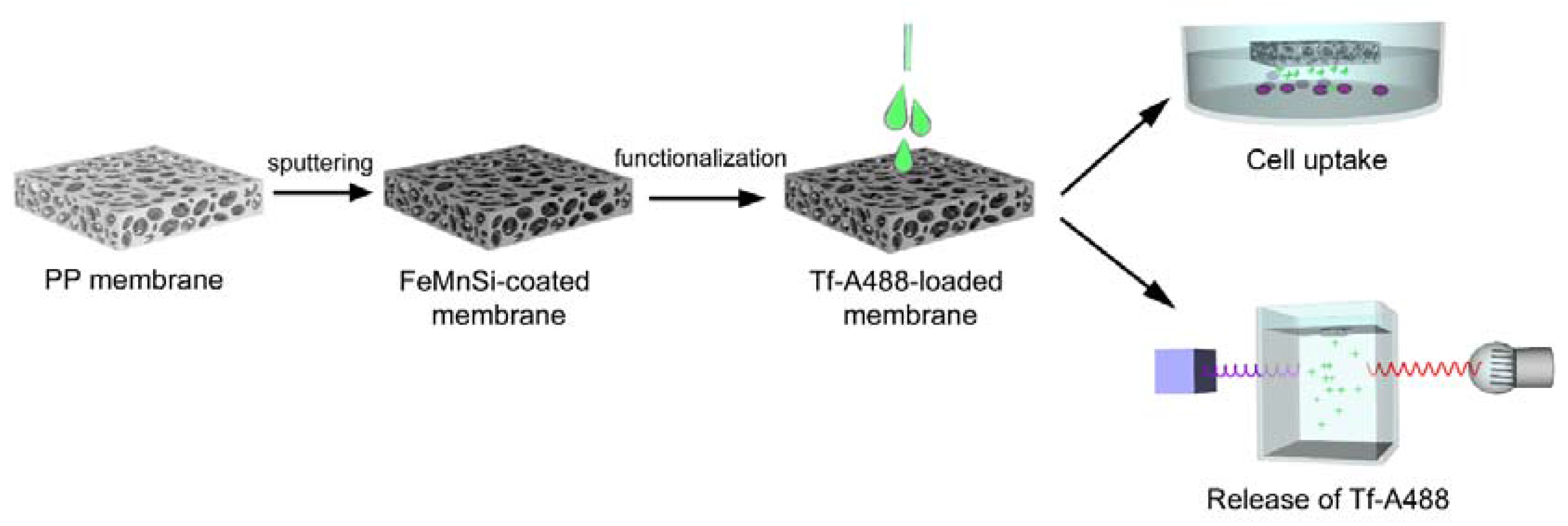 Nanomaterials 07 00155 g005