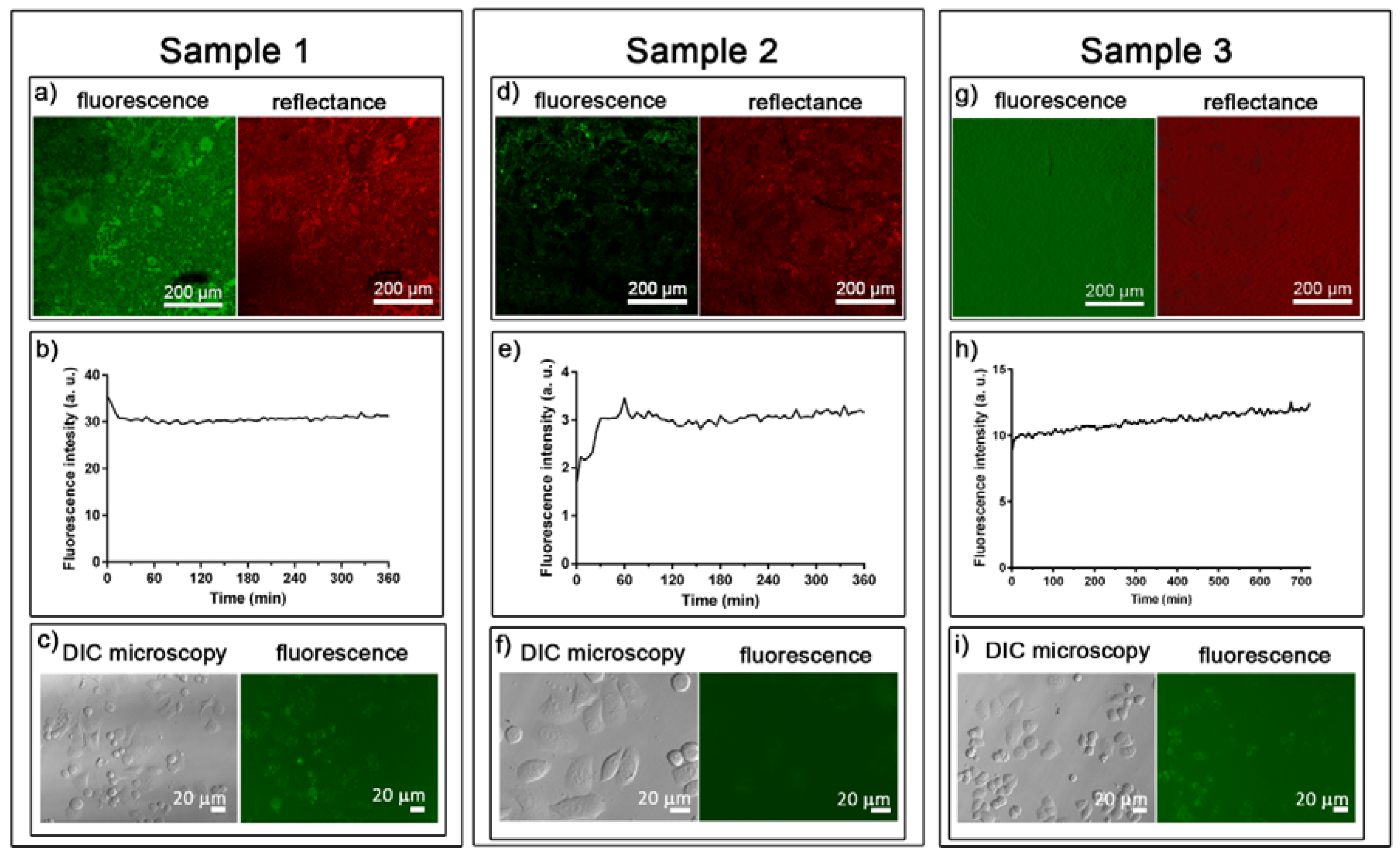 Nanomaterials 07 00155 g006