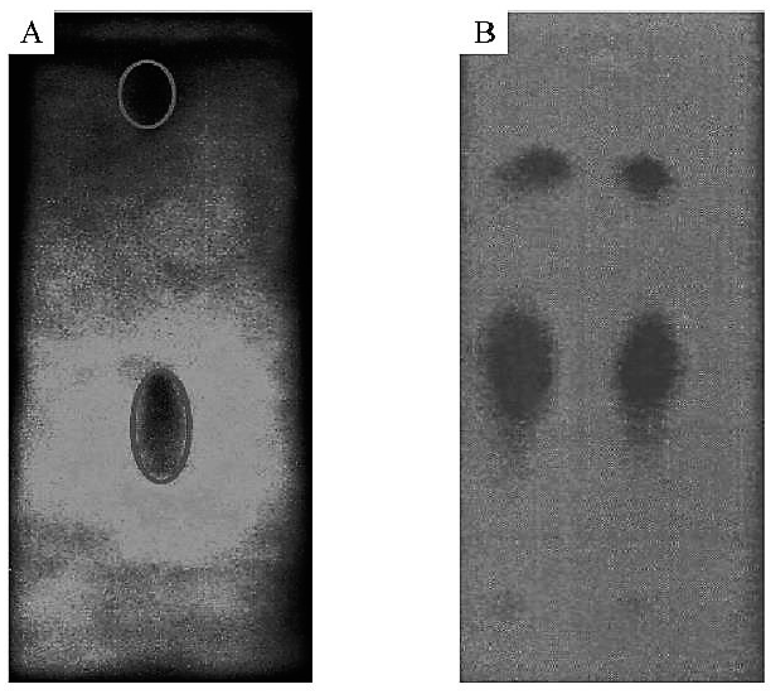 Nanomaterials 07 00186 g004
