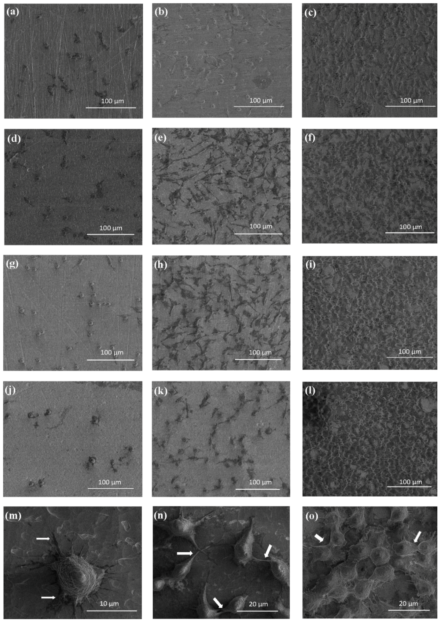 Nanomaterials 07 00197 g005 Nanomaterials 07 00197 g005