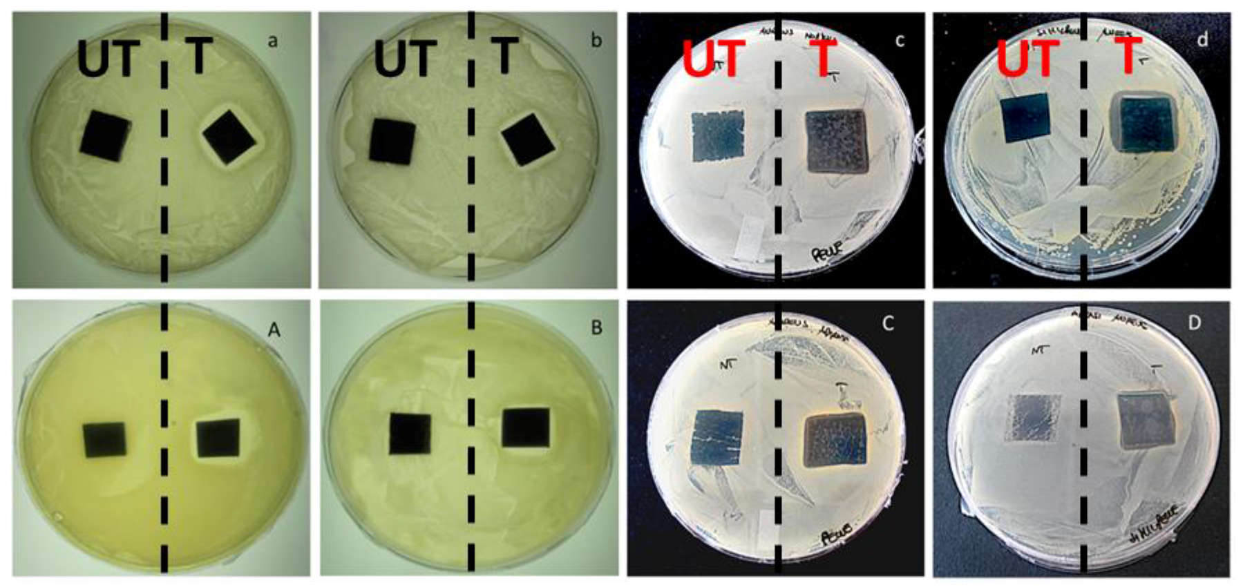 Nanomaterials 07 00203 g009