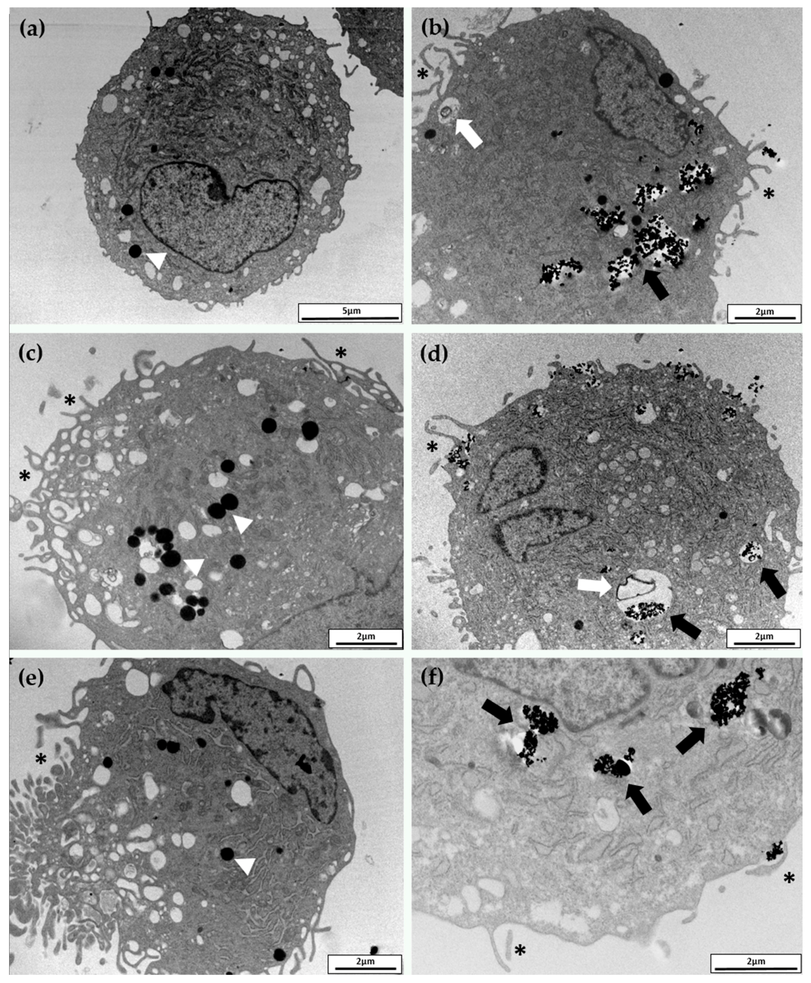 Nanomaterials 07 00212 g004