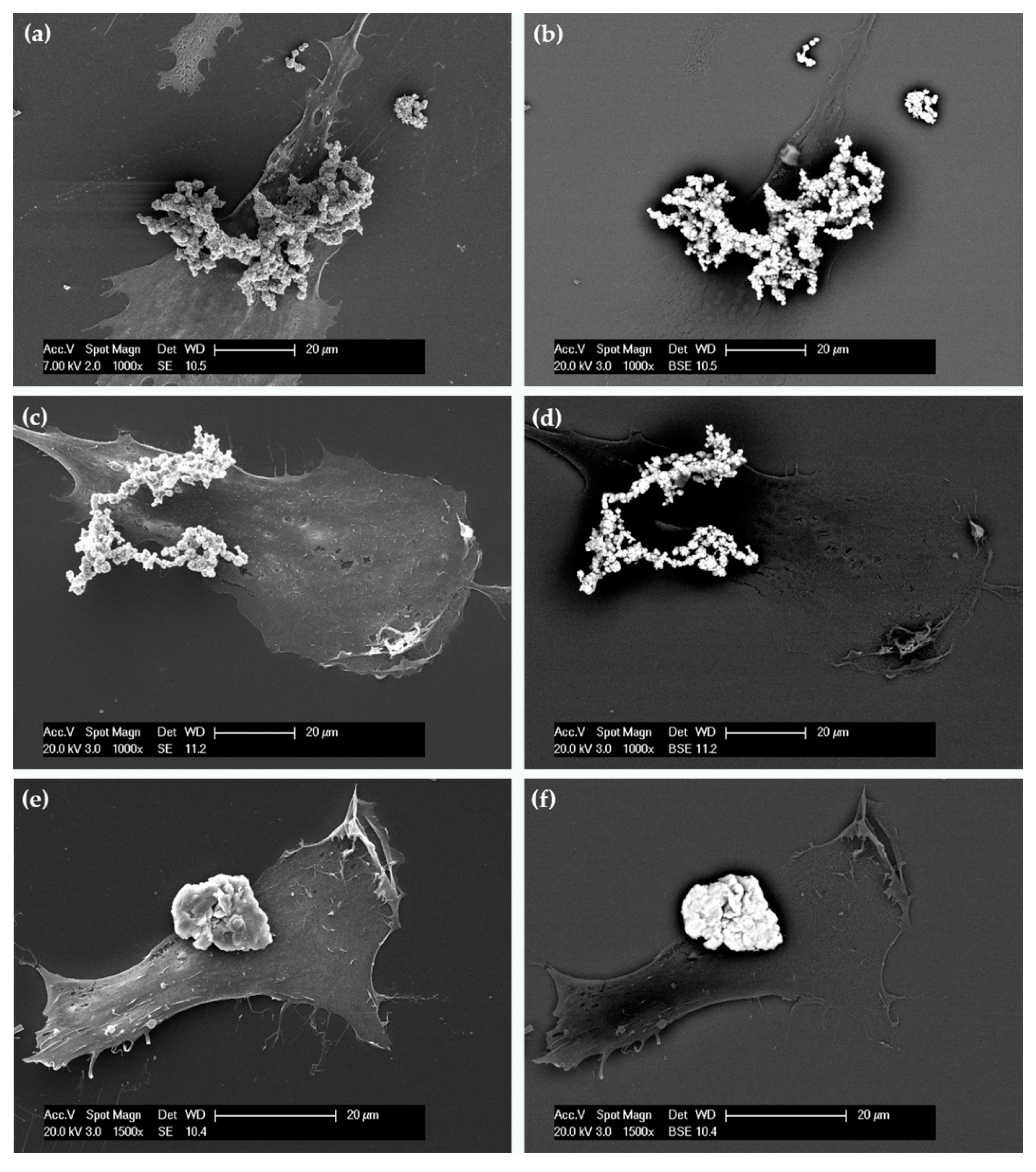 Nanomaterials 07 00212 g005