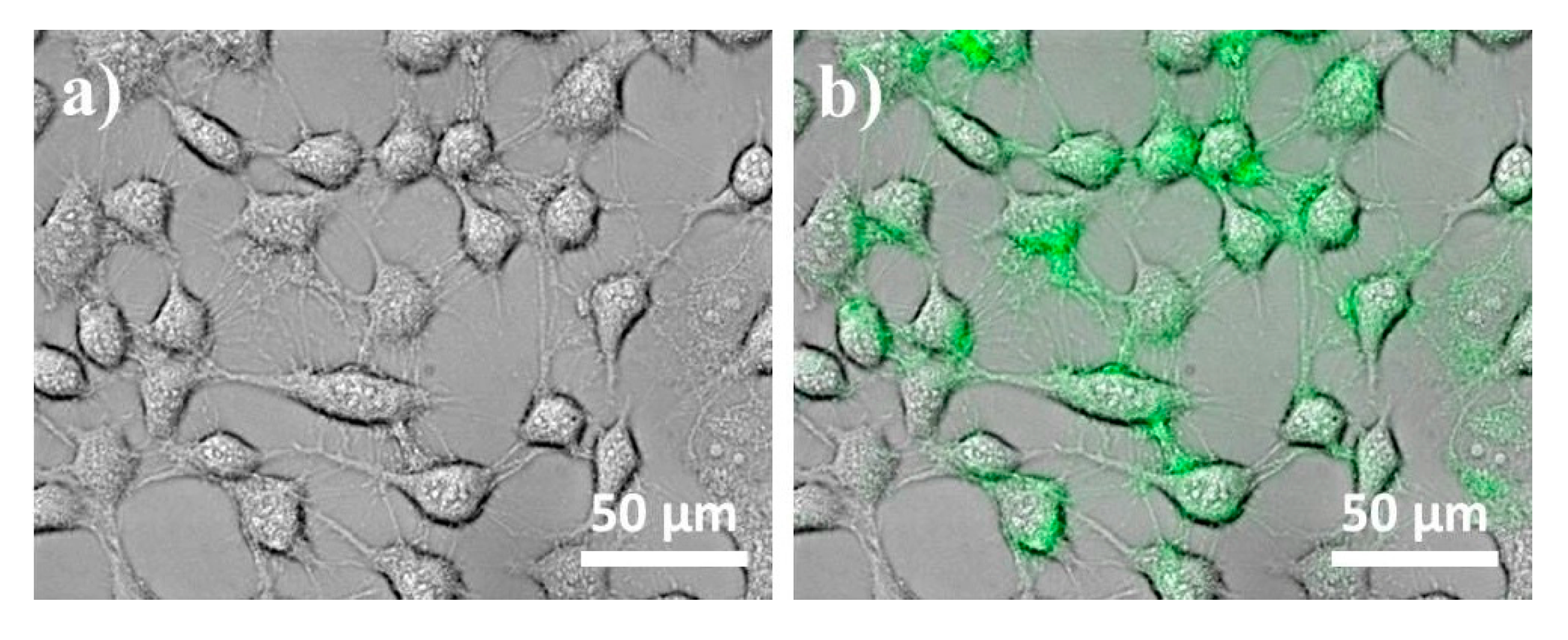 Nanomaterials 07 00216 g006
