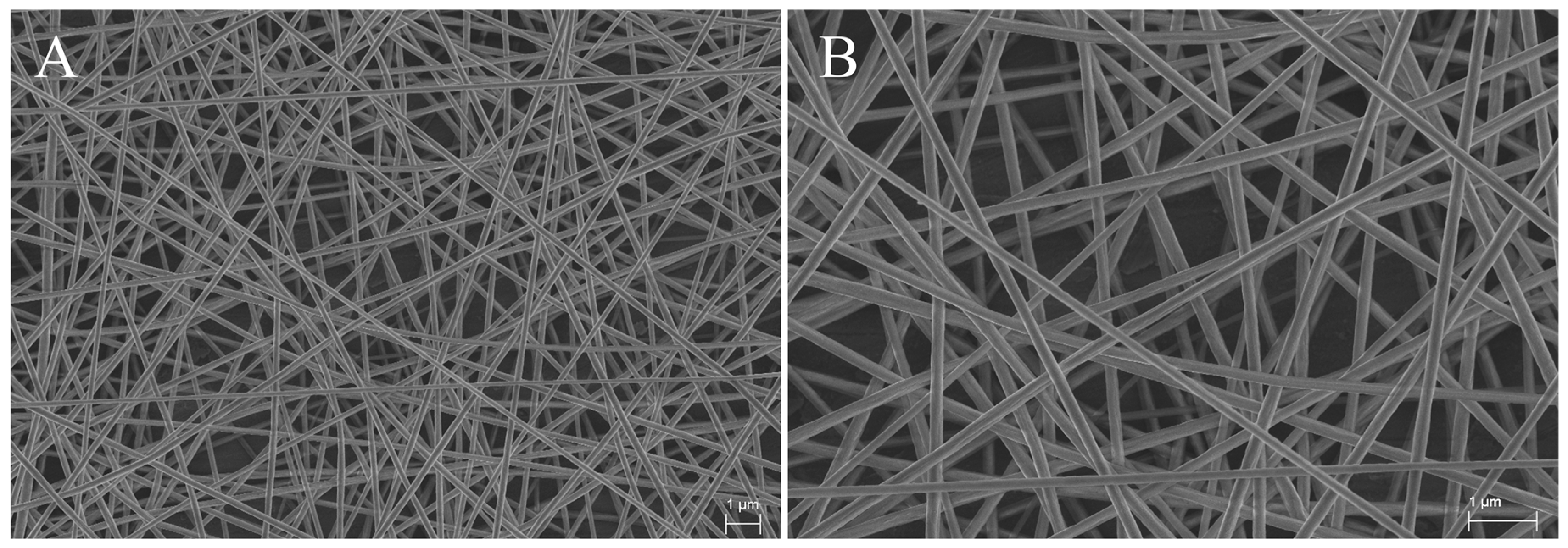 Nanomaterials 07 00218 g001