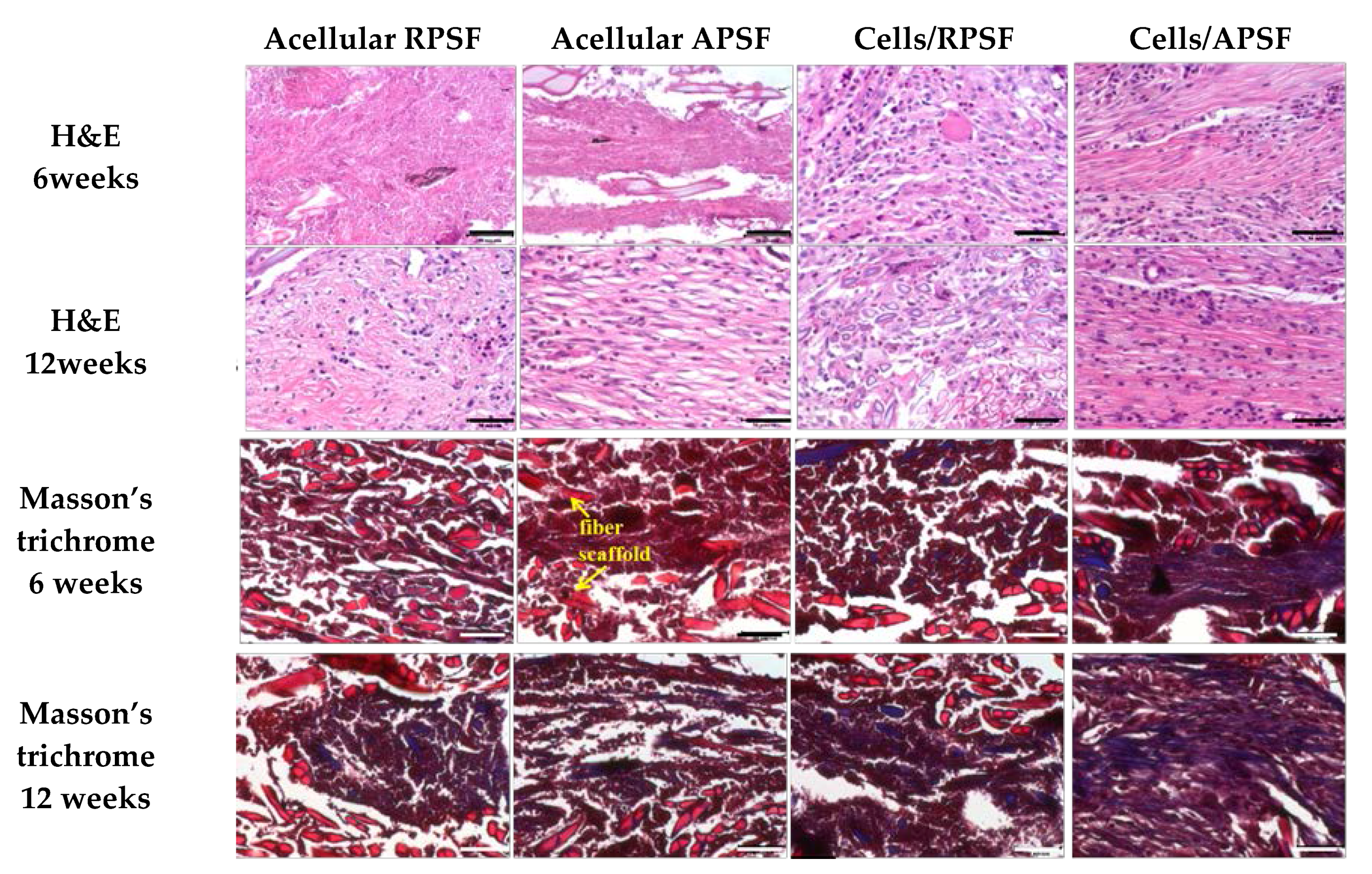 Nanomaterials 07 00219 g007