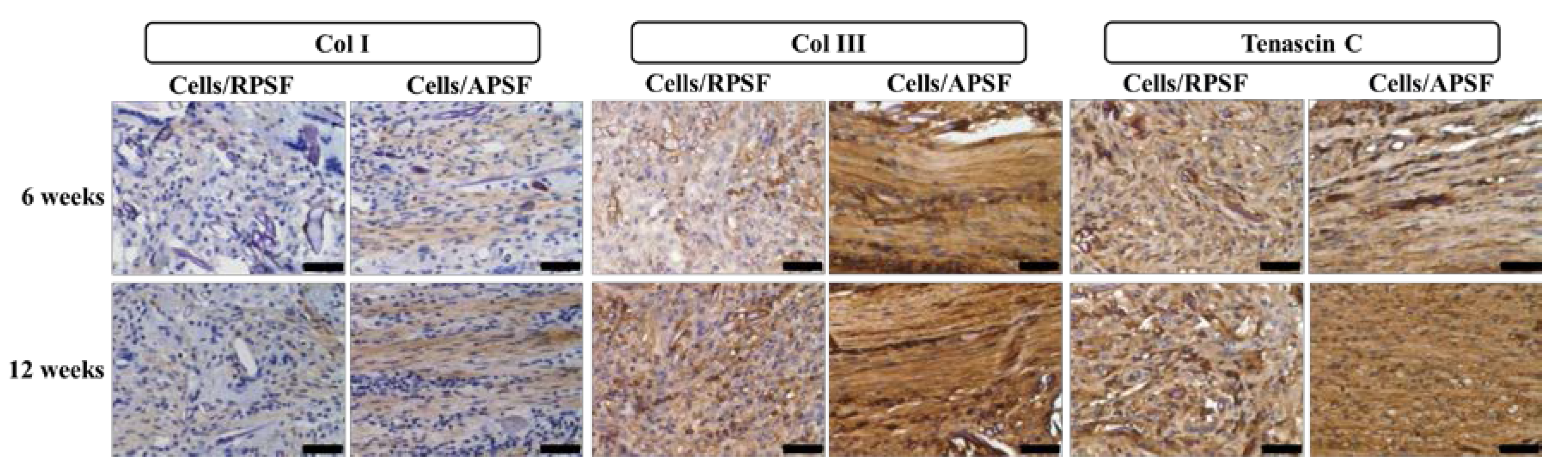Nanomaterials 07 00219 g008