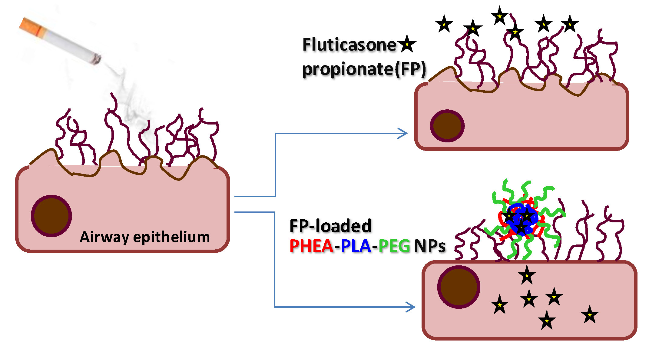 Nanomaterials 07 00222 g007