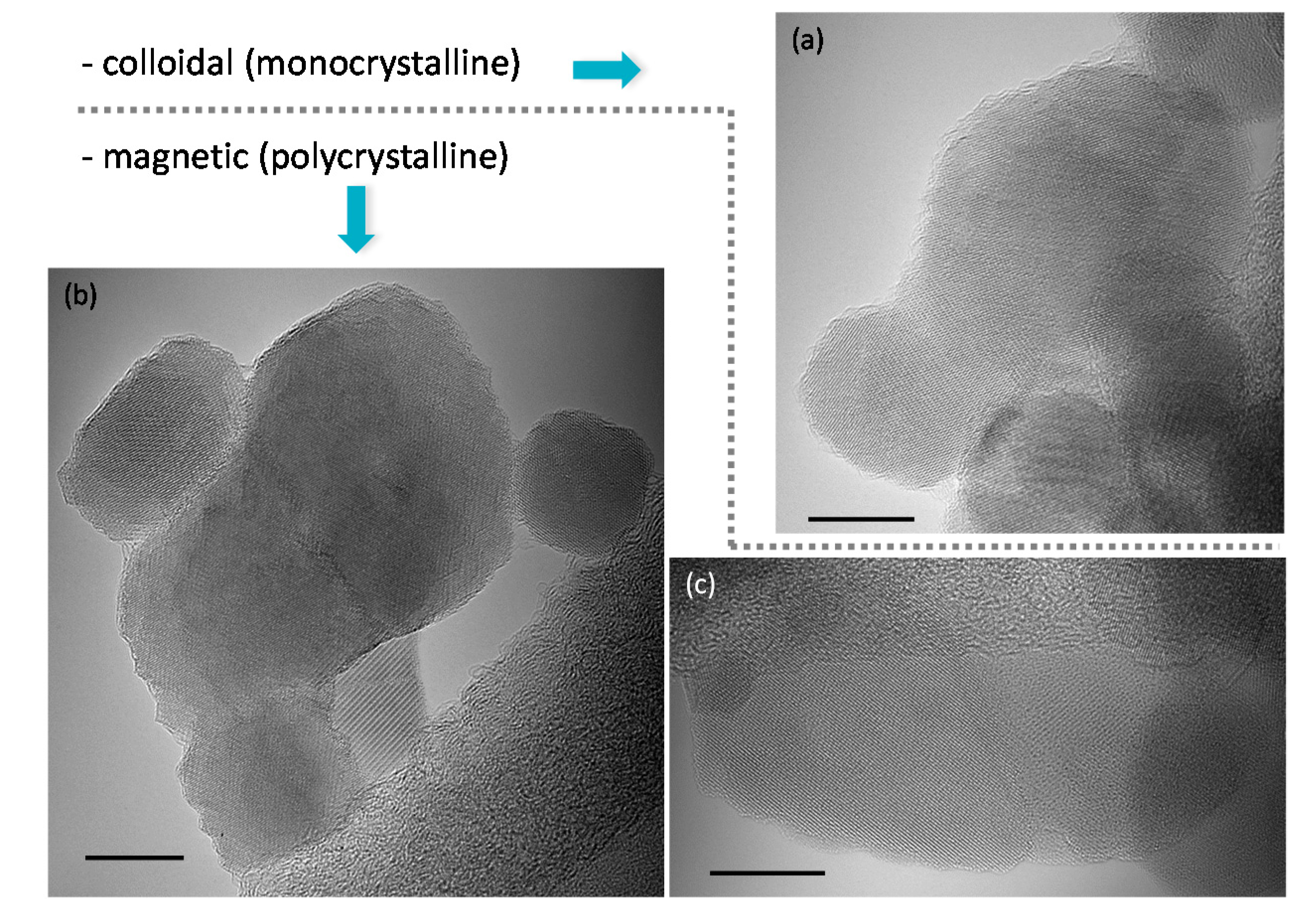 Nanomaterials 07 00225 g004
