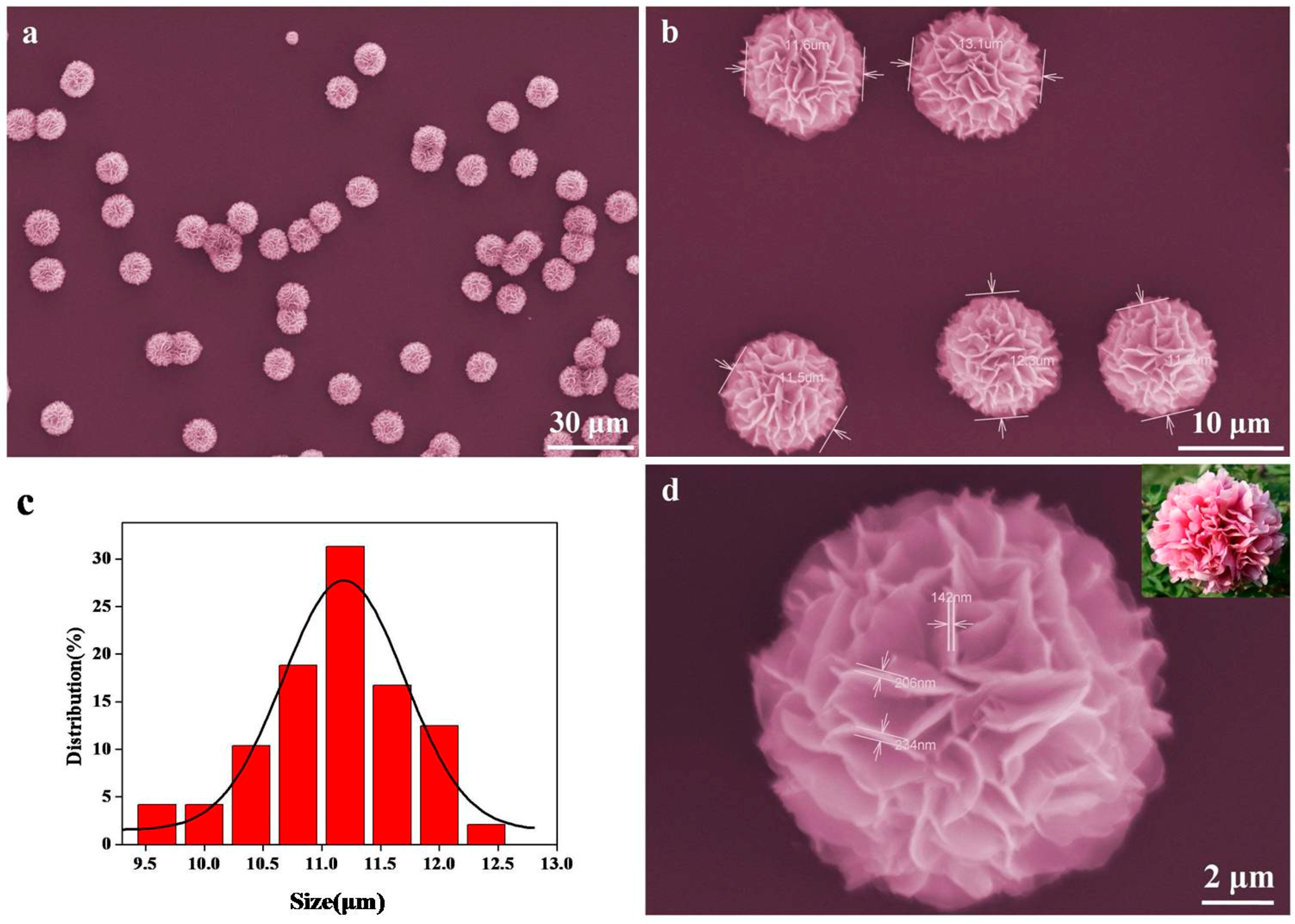 Nanomaterials 07 00237 g001 Nanomaterials 07 00237 g001
