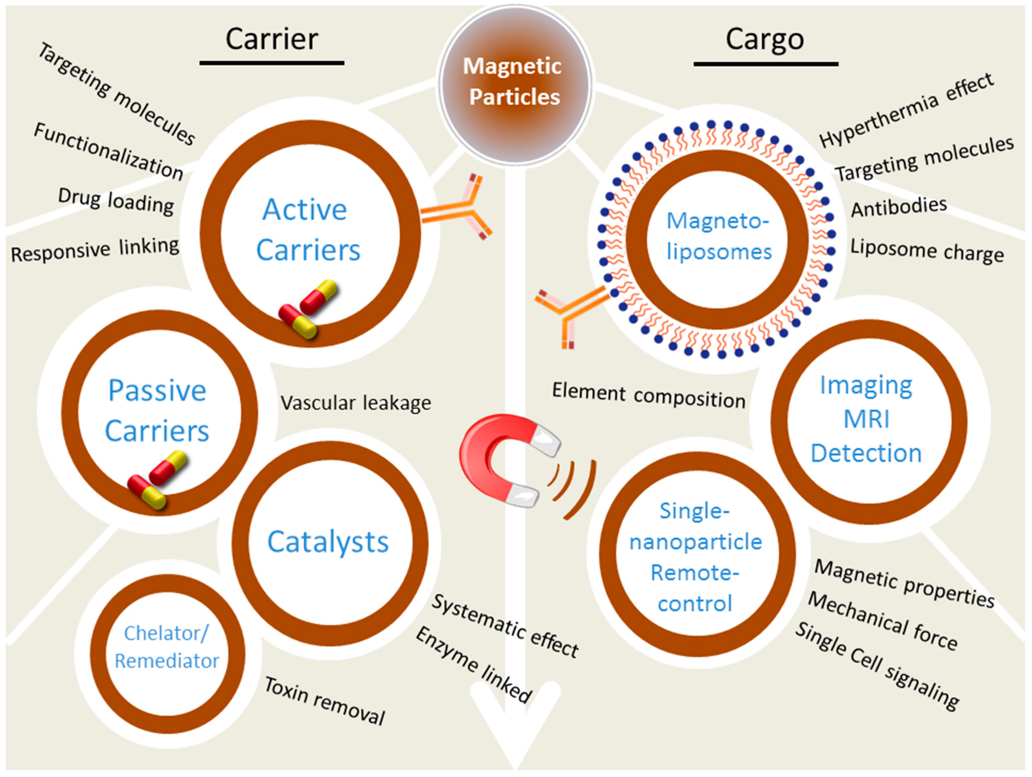 Nanomaterials 07 00243 g001