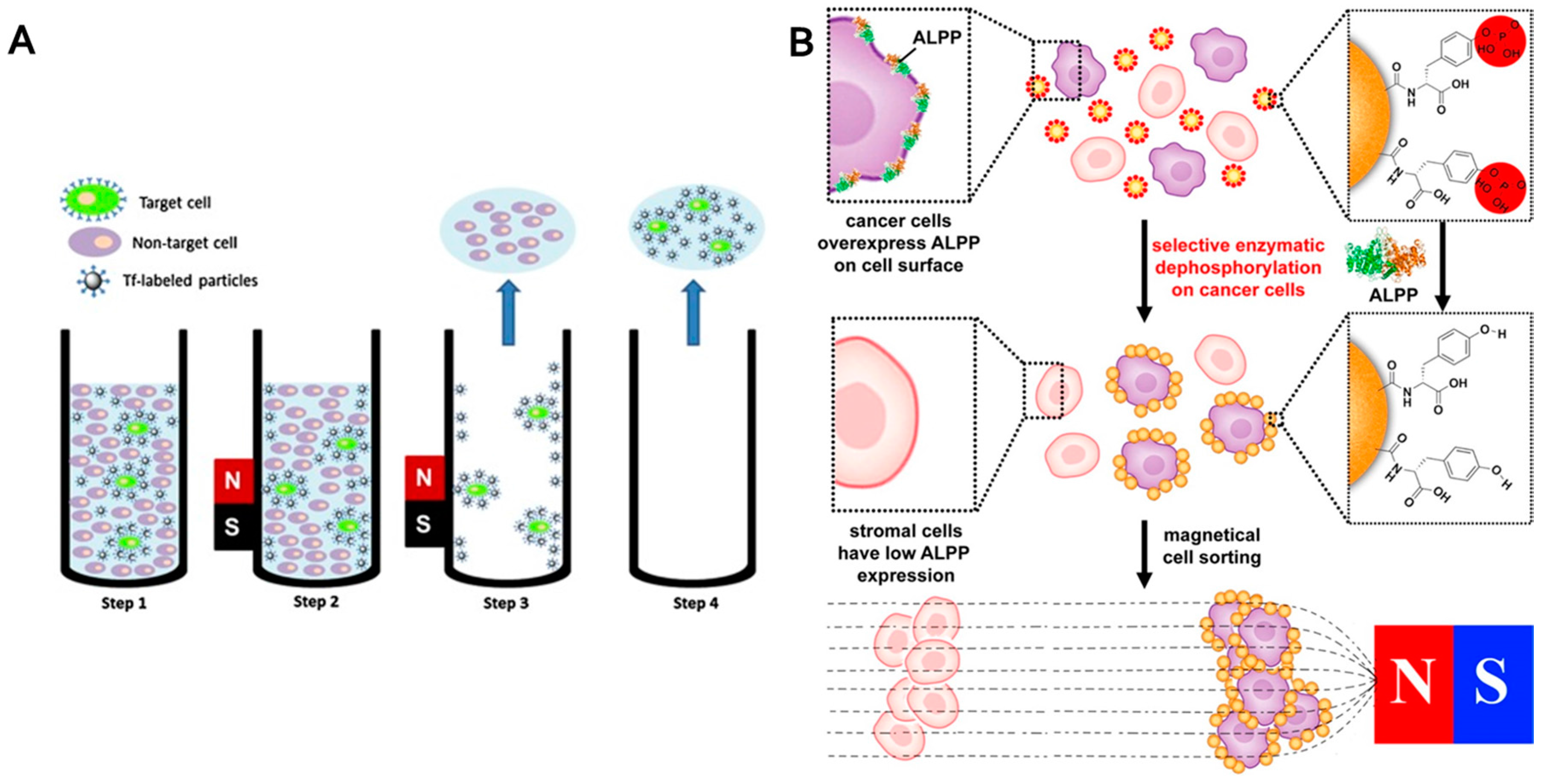 Nanomaterials 07 00243 g005