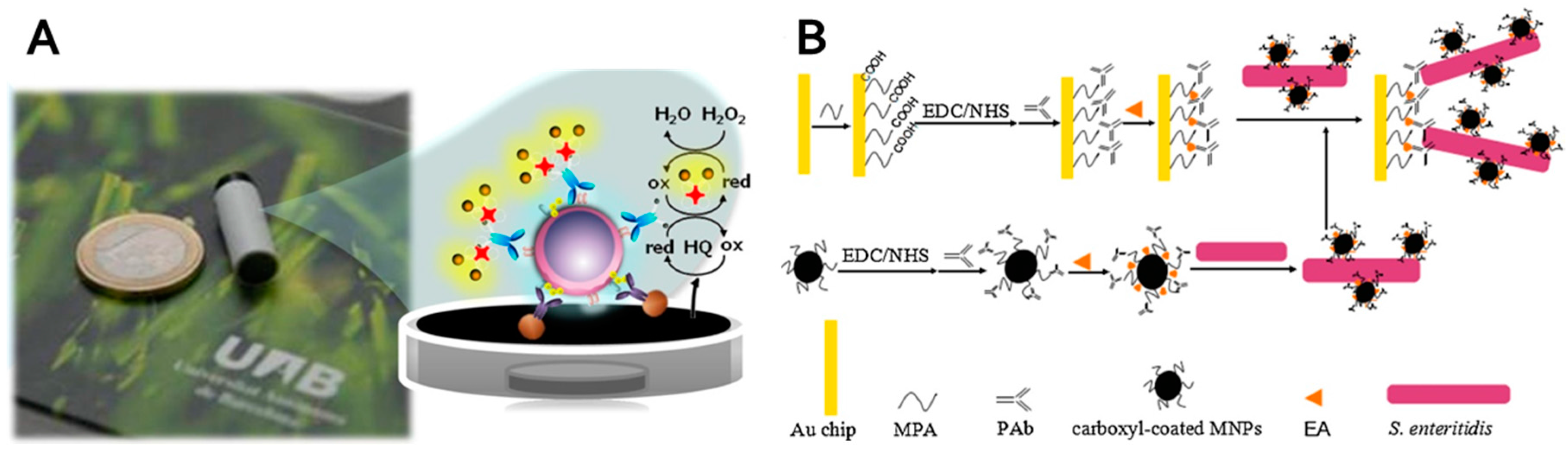 Nanomaterials 07 00243 g006