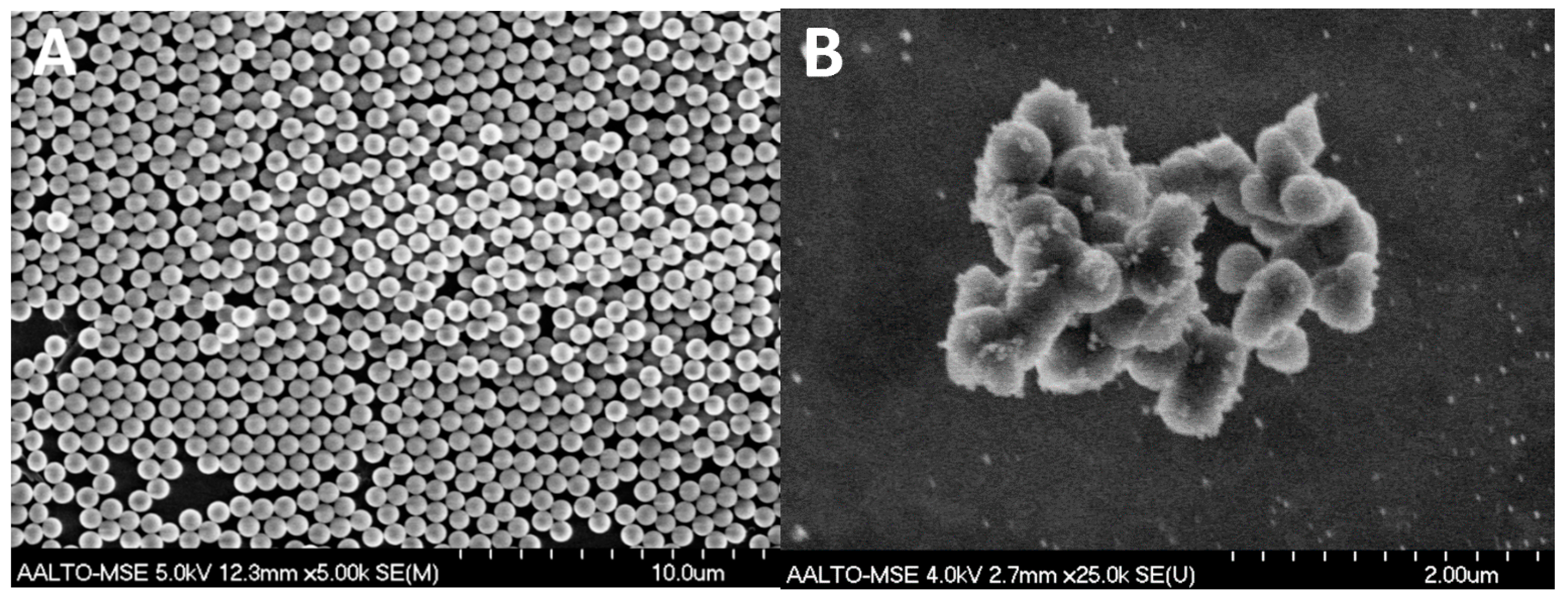 Nanomaterials 07 00261 g001
