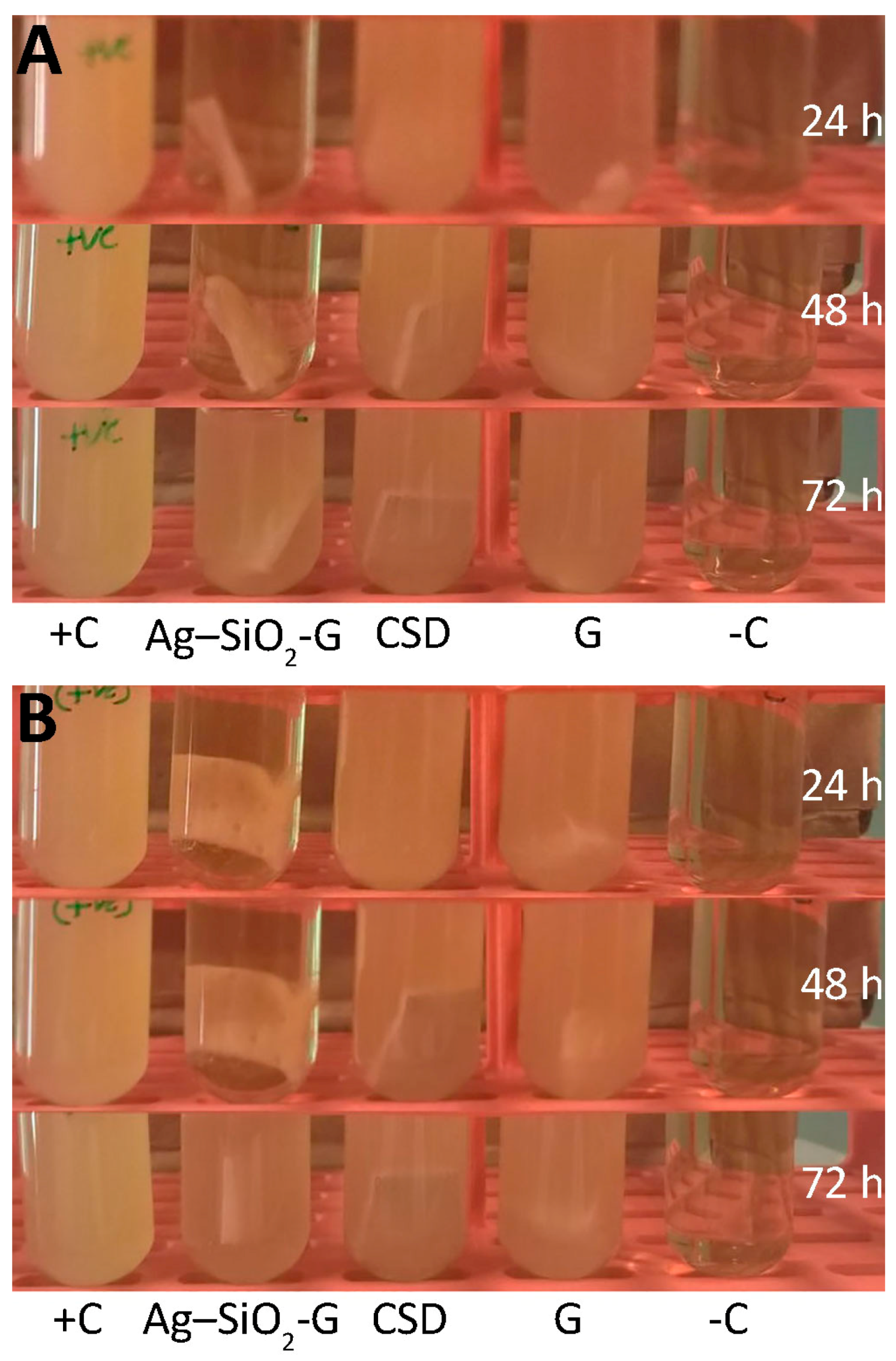 Nanomaterials 07 00261 g006