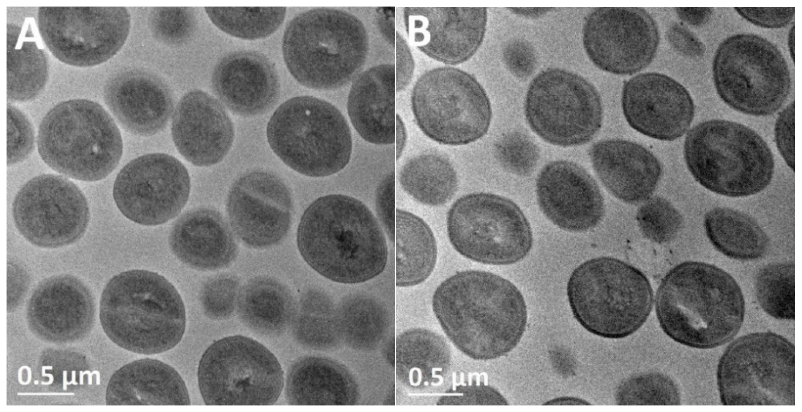 Nanomaterials 07 00261 g008a