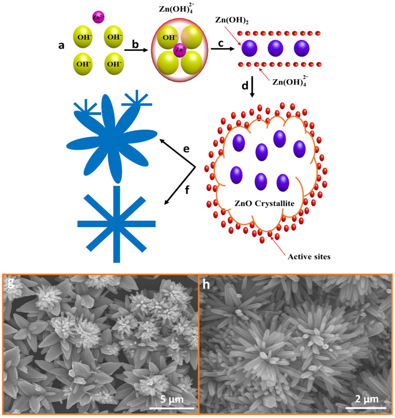 Nanomaterials 07 00266 g003