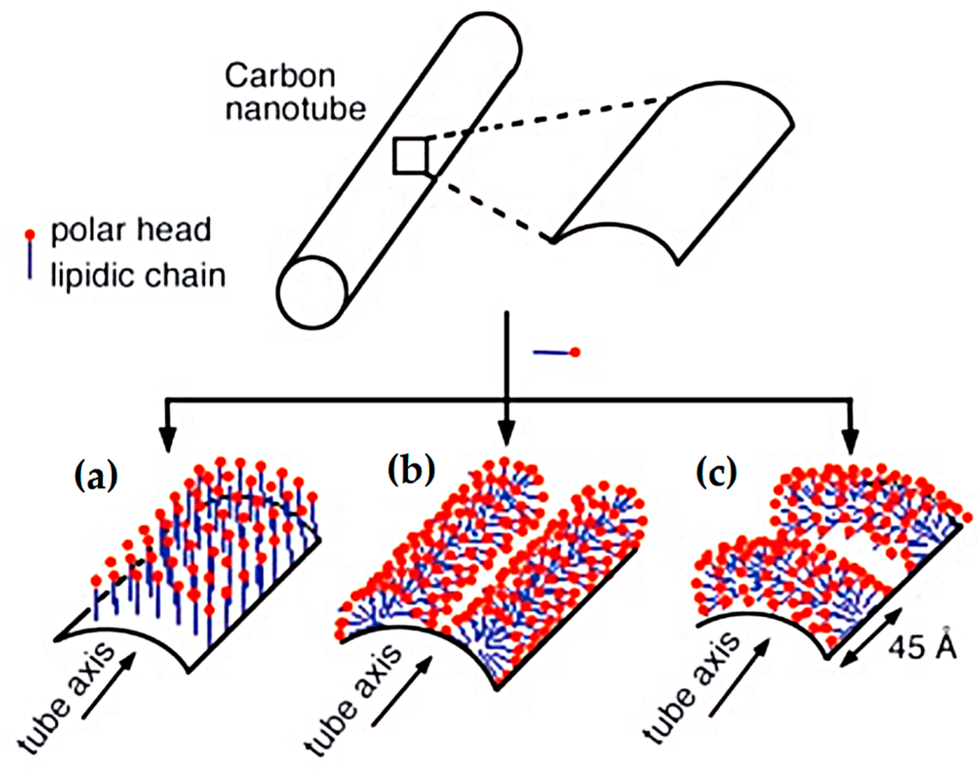 Nanomaterials 07 00267 g012 Nanomaterials 07 00267 g012
