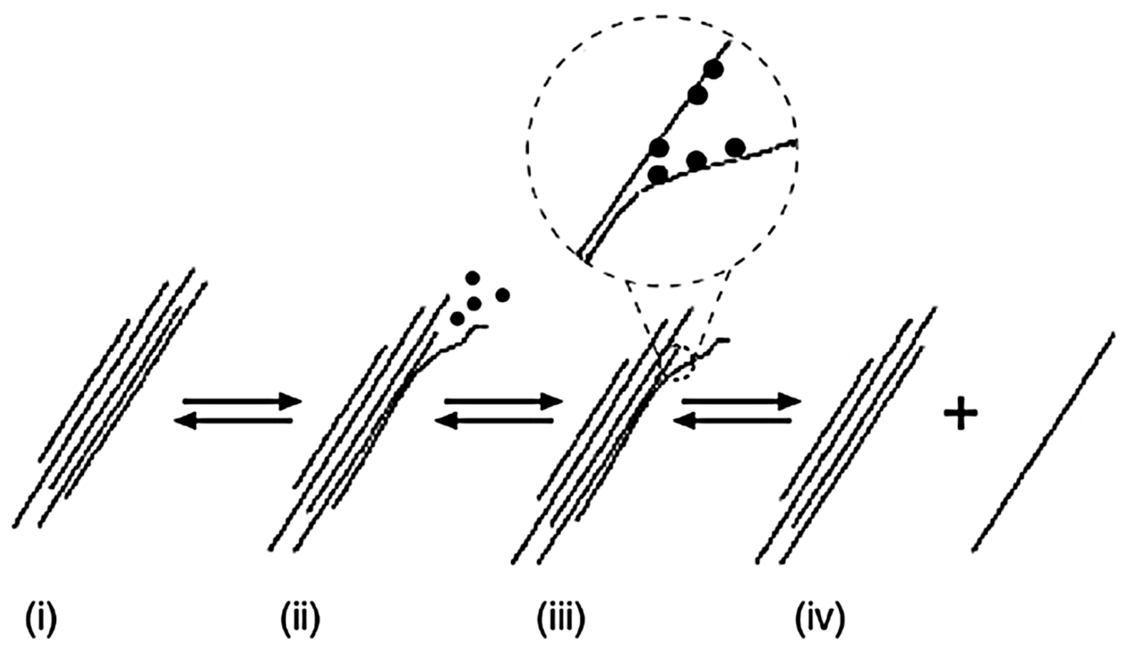 Nanomaterials 07 00267 g013 Nanomaterials 07 00267 g013