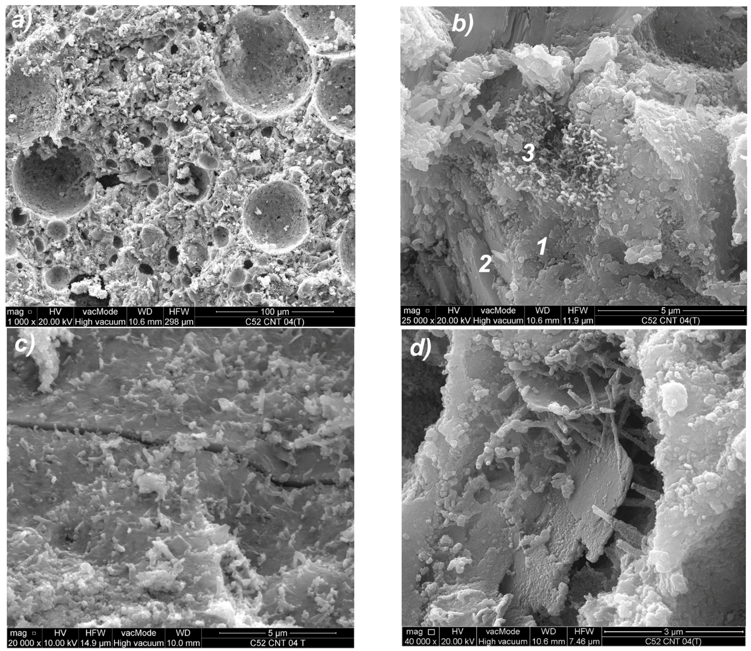 Nanomaterials 07 00267 g018 Nanomaterials 07 00267 g018