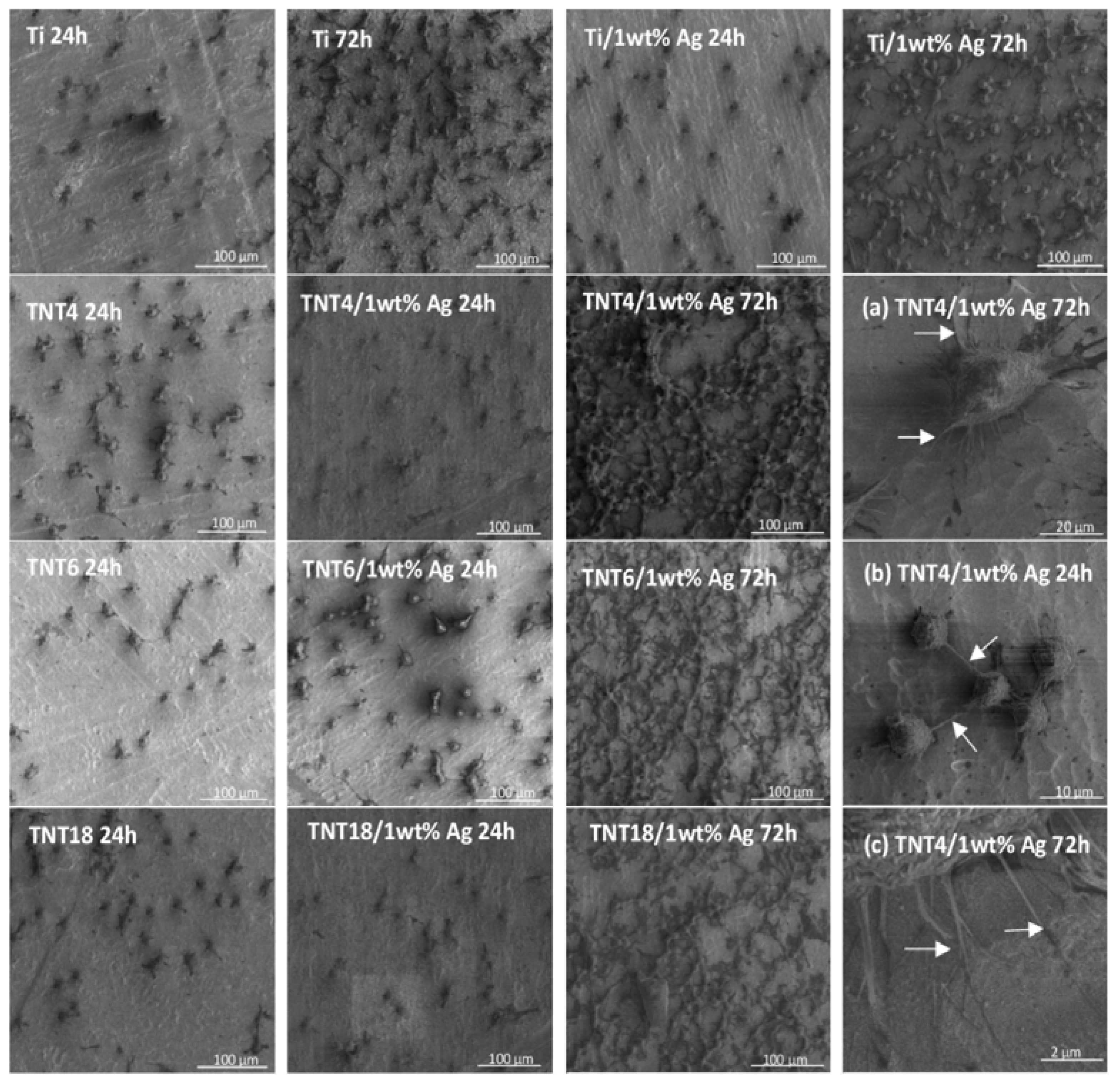 Nanomaterials 07 00274 g005 Nanomaterials 07 00274 g005