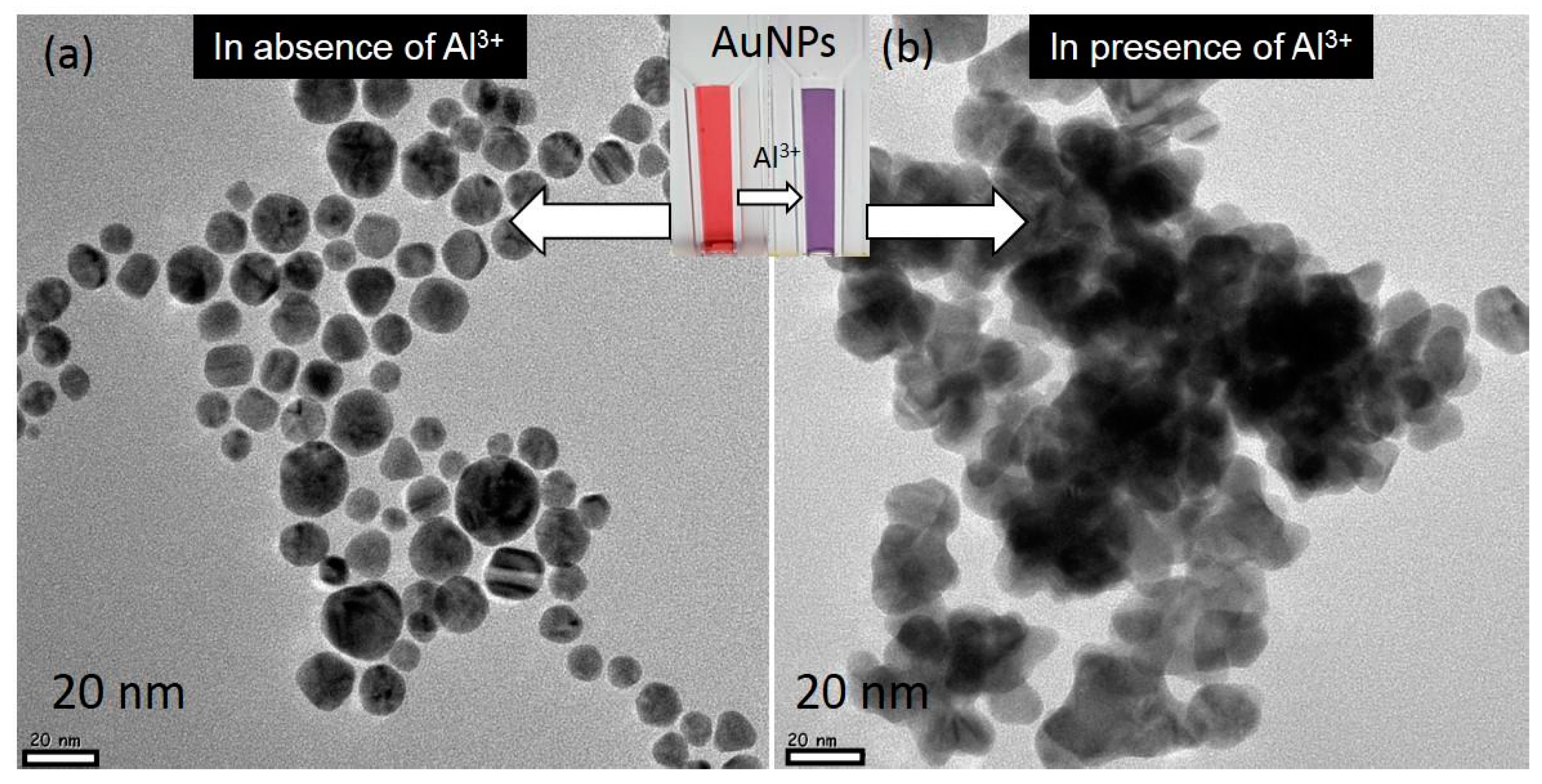 Nanomaterials 07 00287 g003 Nanomaterials 07 00287 g003