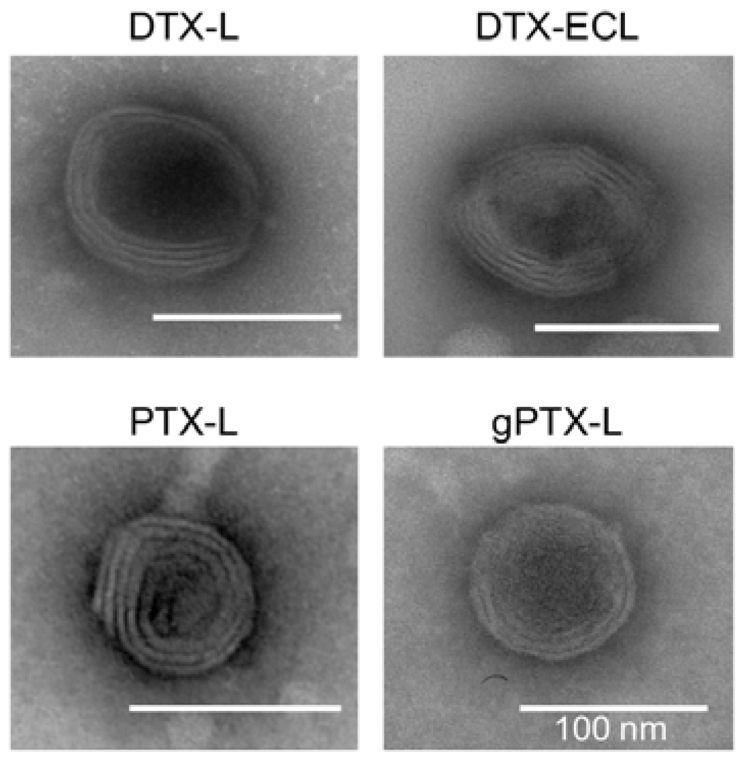 Nanomaterials 07 00290 g002