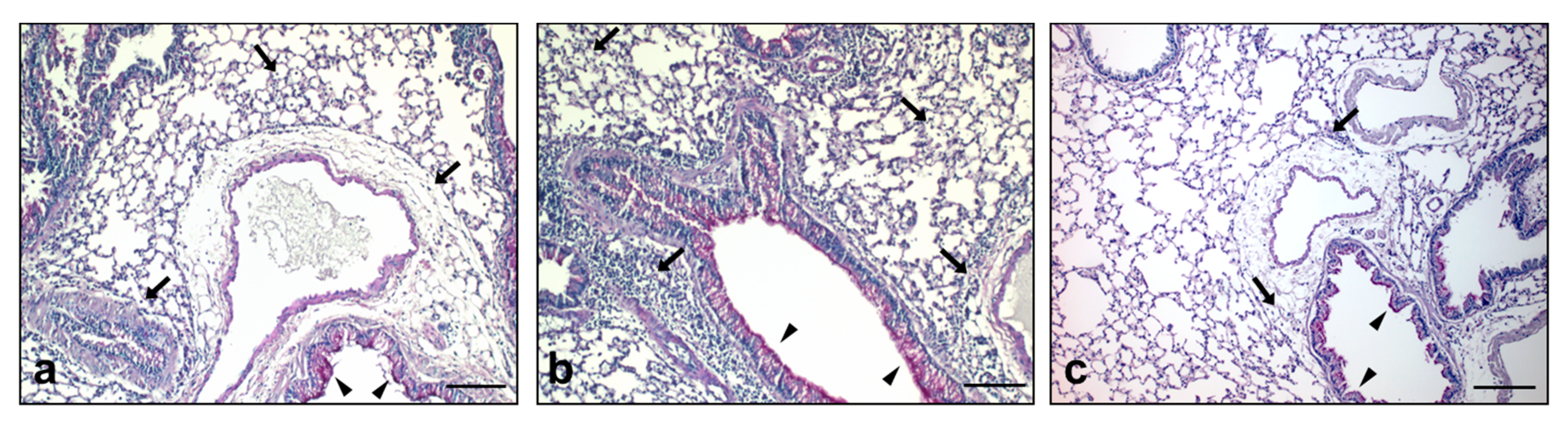 Nanomaterials 07 00300 g003 Nanomaterials 07 00300 g003
