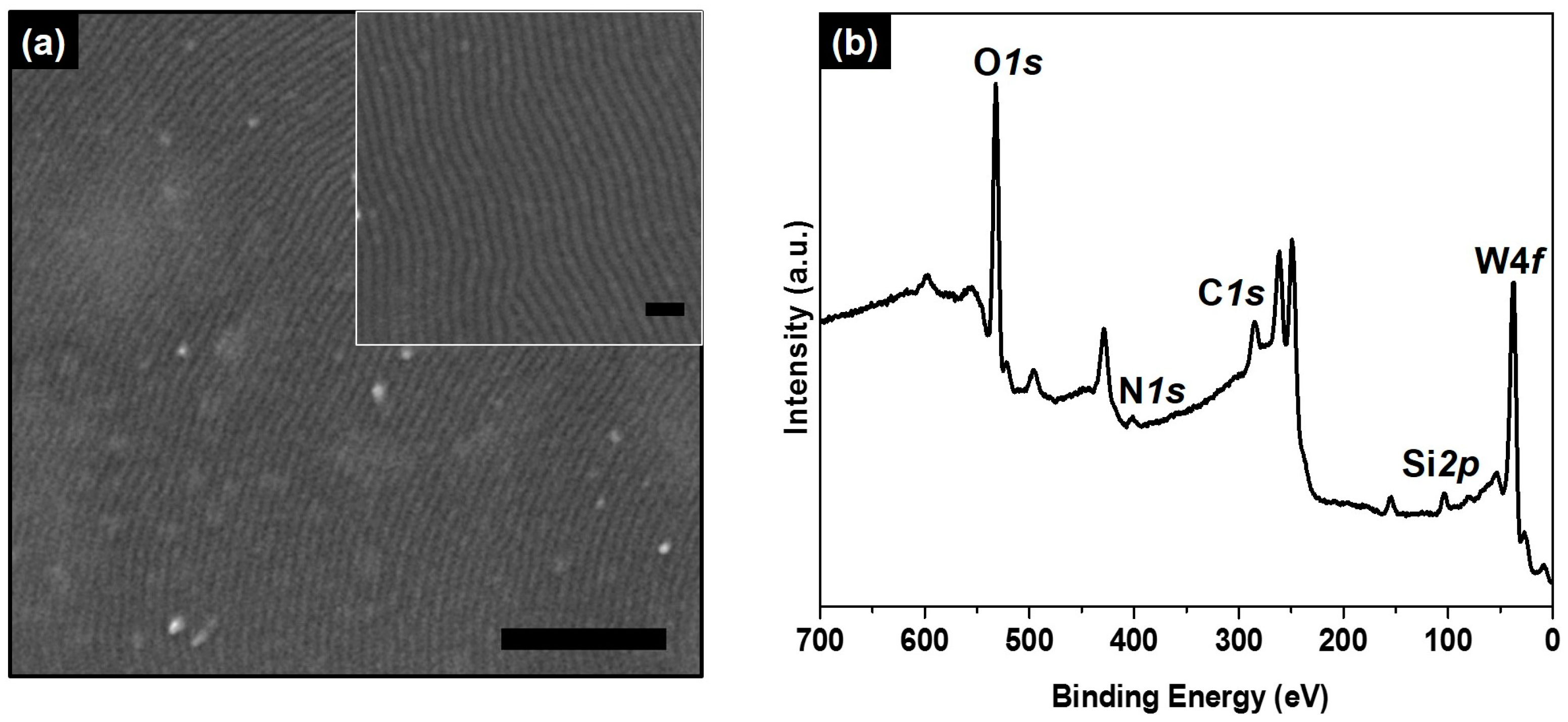Nanomaterials 07 00304 g001a