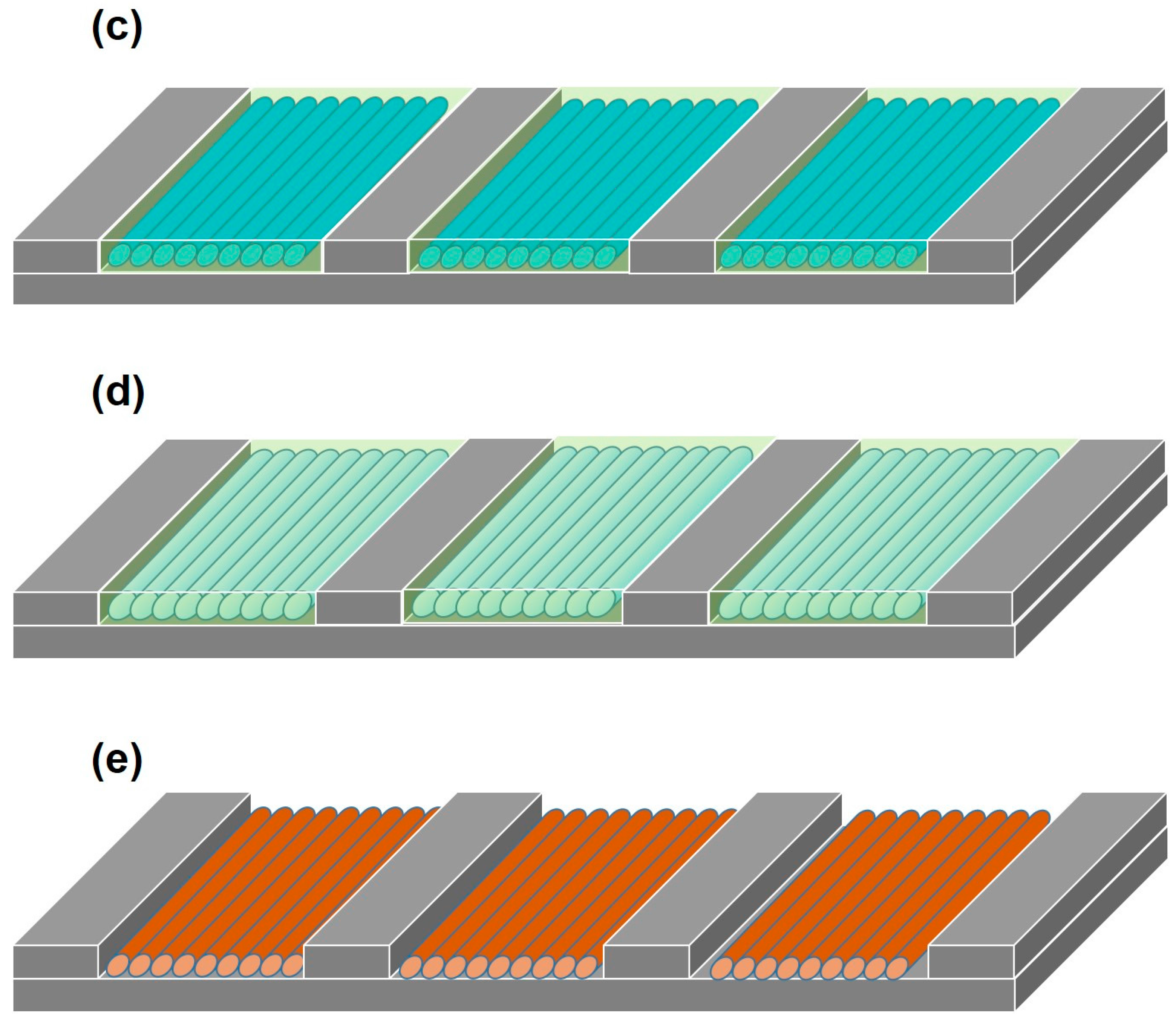 Nanomaterials 07 00304 g002b