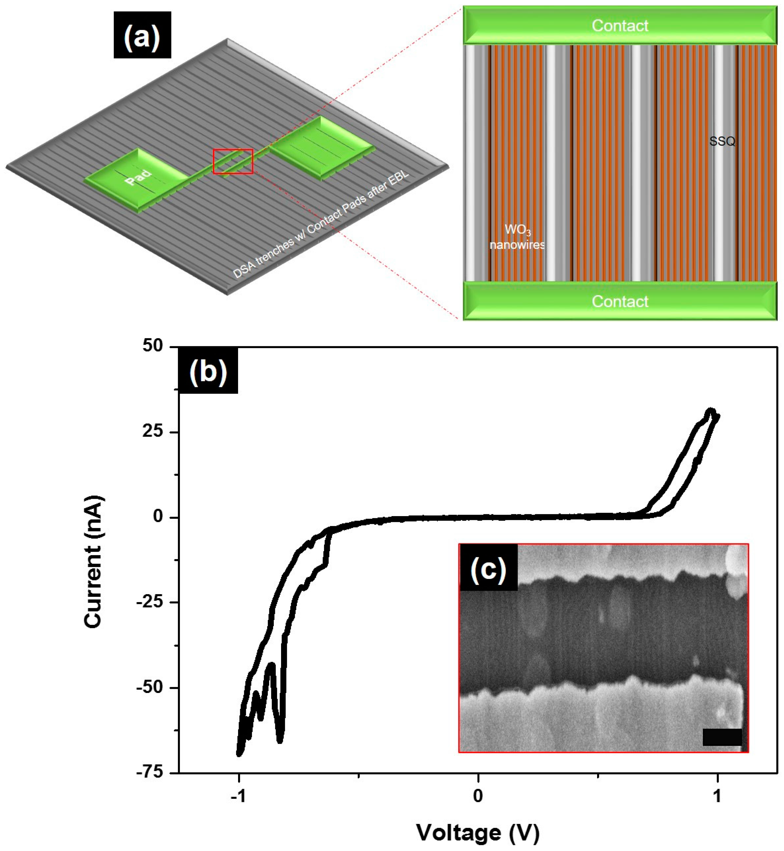Nanomaterials 07 00304 g004