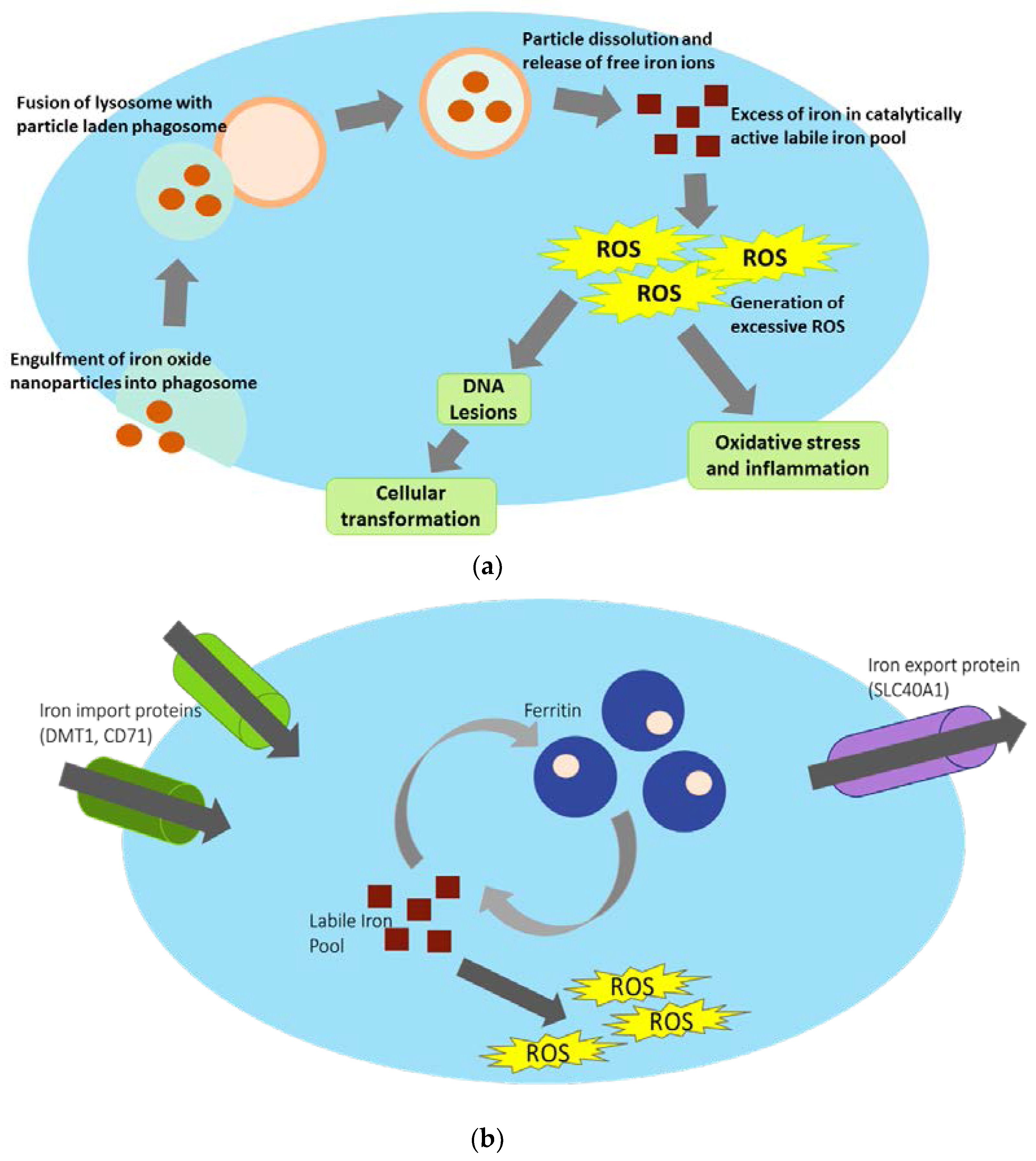 Nanomaterials 07 00307 g002